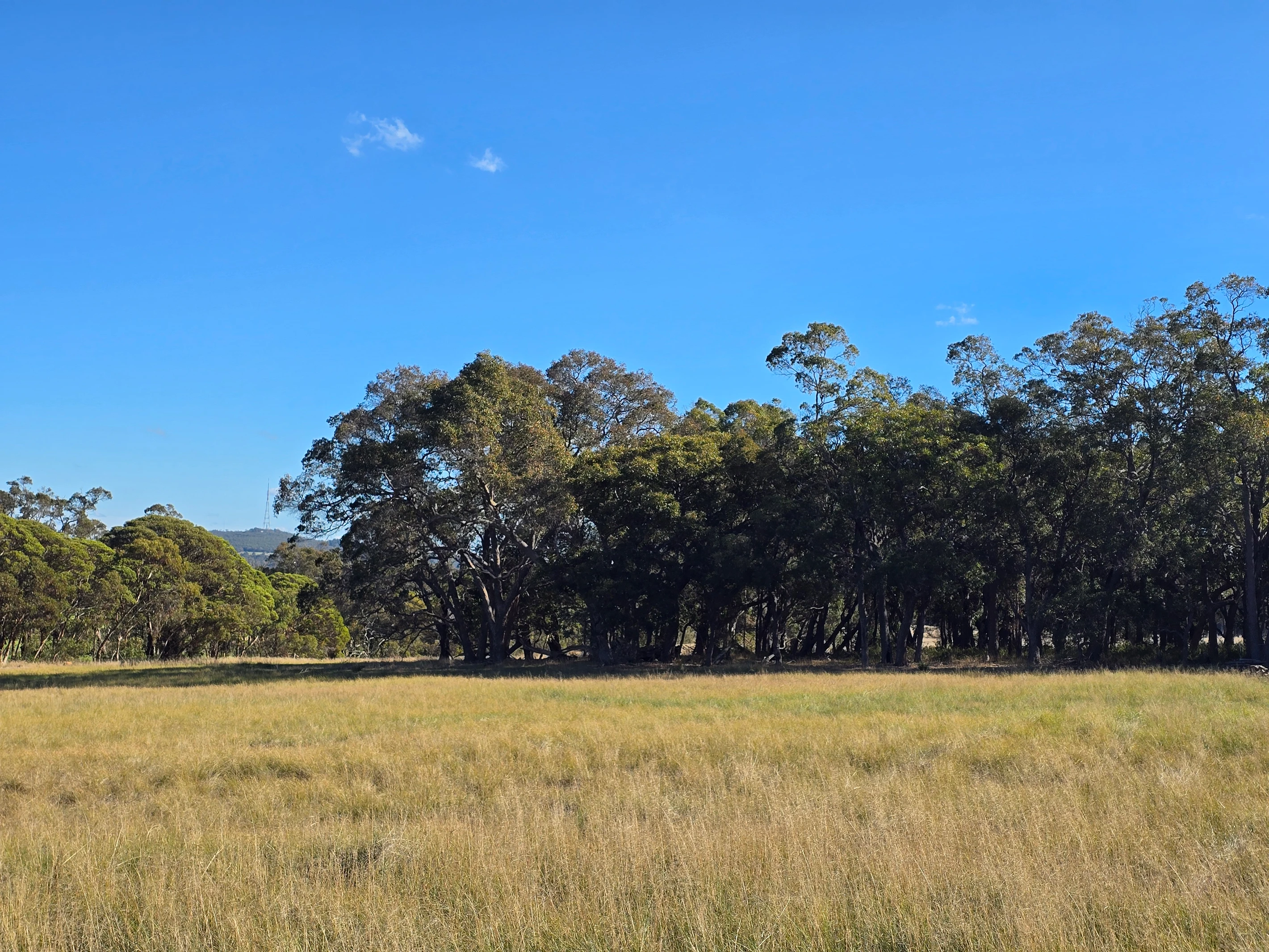 29/215 Porongurup Road, Mount Barker, WA 6324