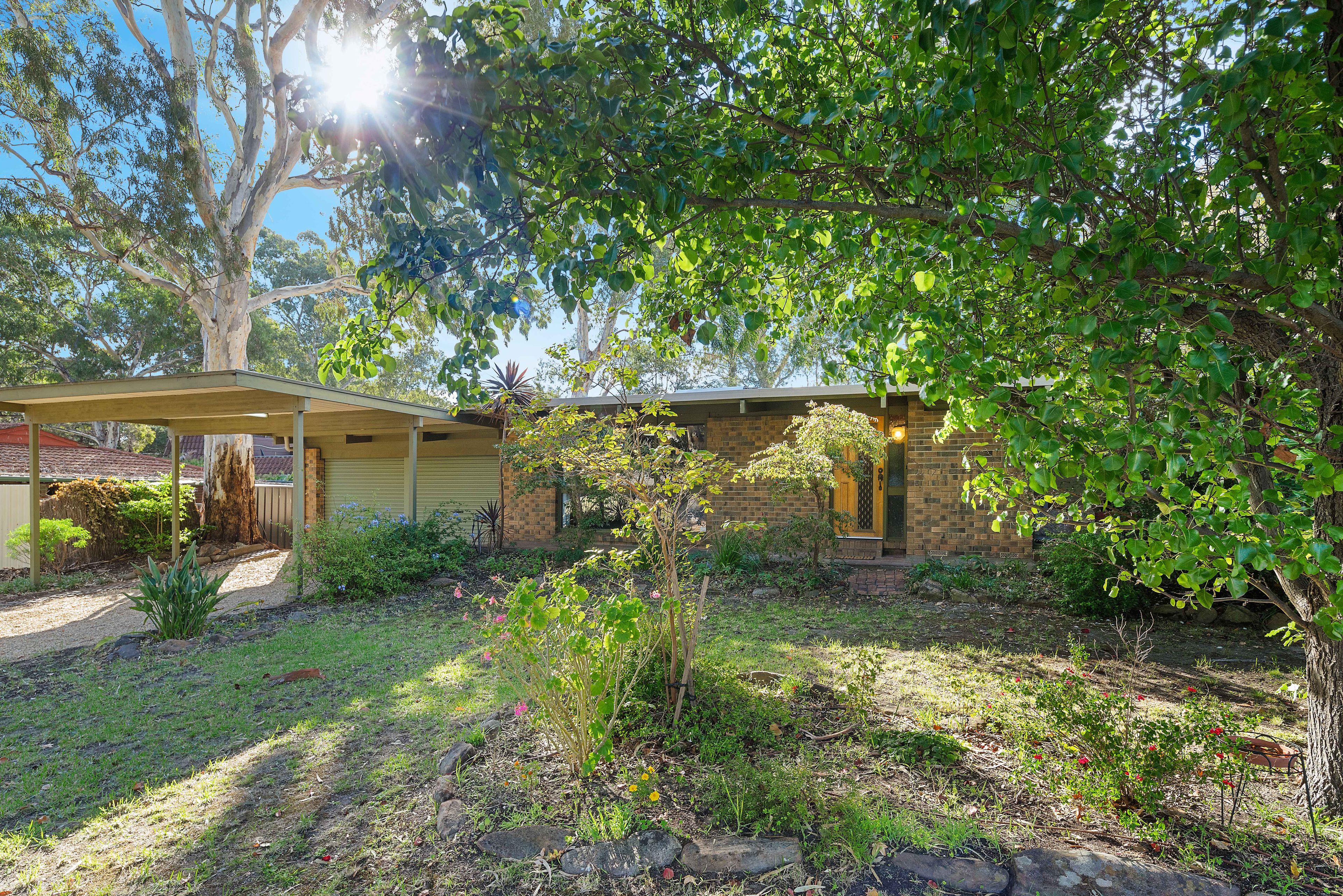 3 Dalpura Grove, Aberfoyle Park SA 5159