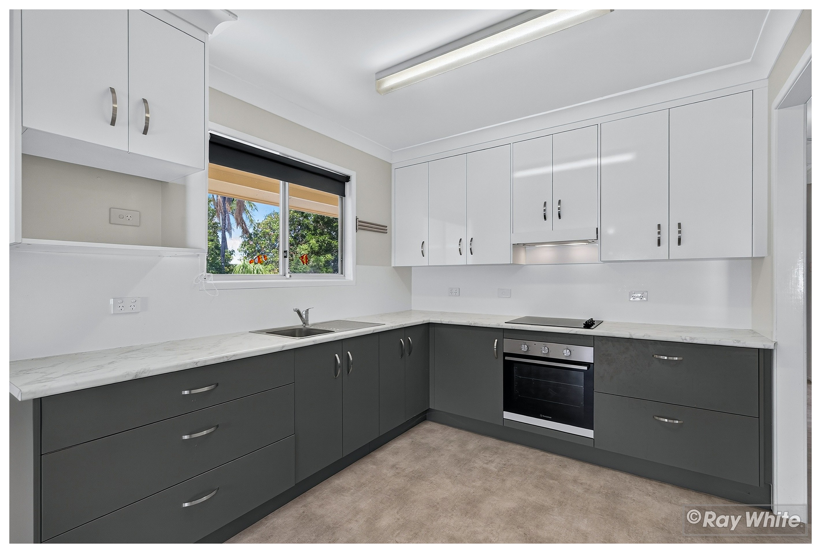 428 Moyle Street, Frenchville, QLD 4701