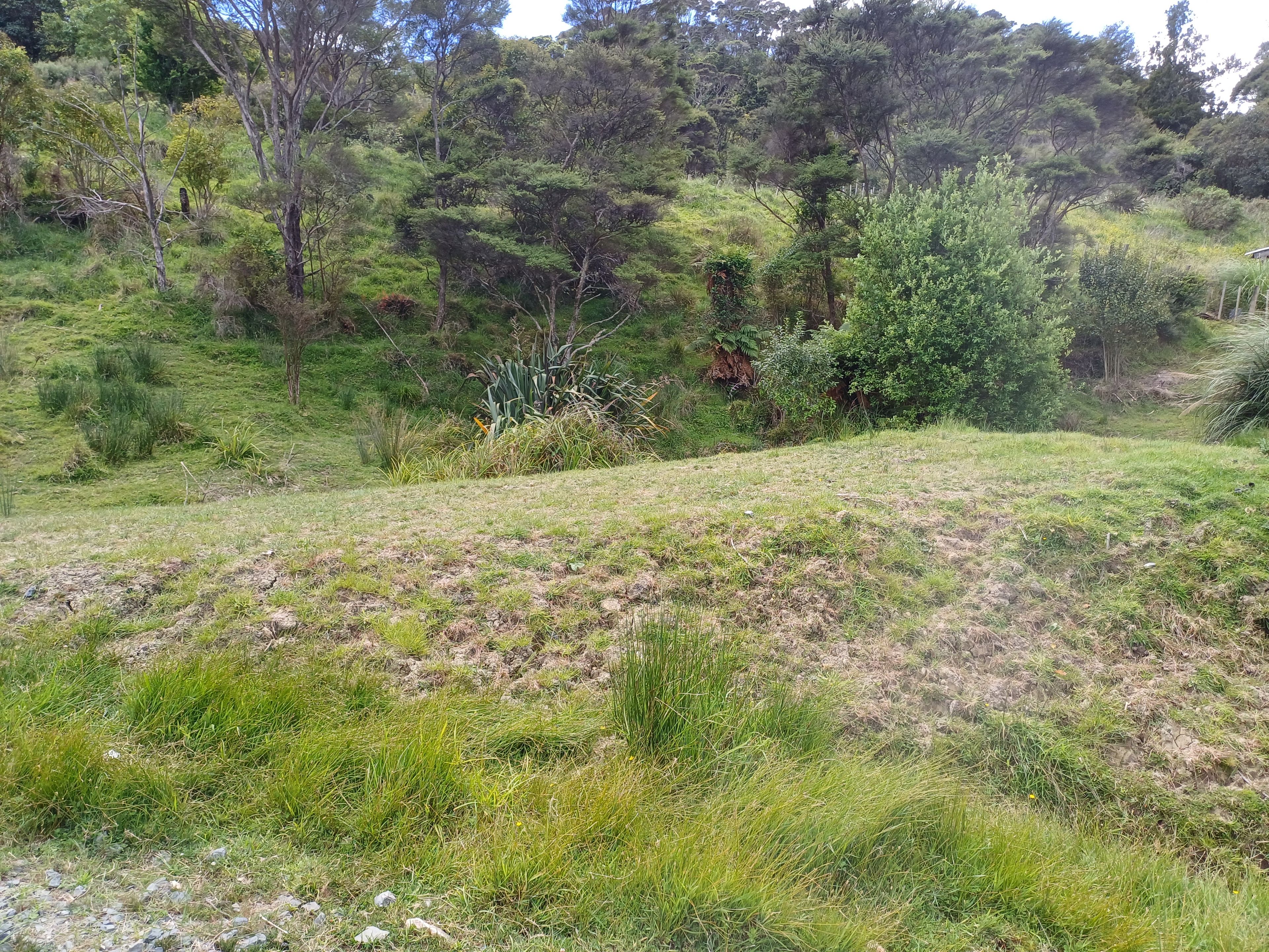 0 Raglan Road, Kawhia, Otorohanga District