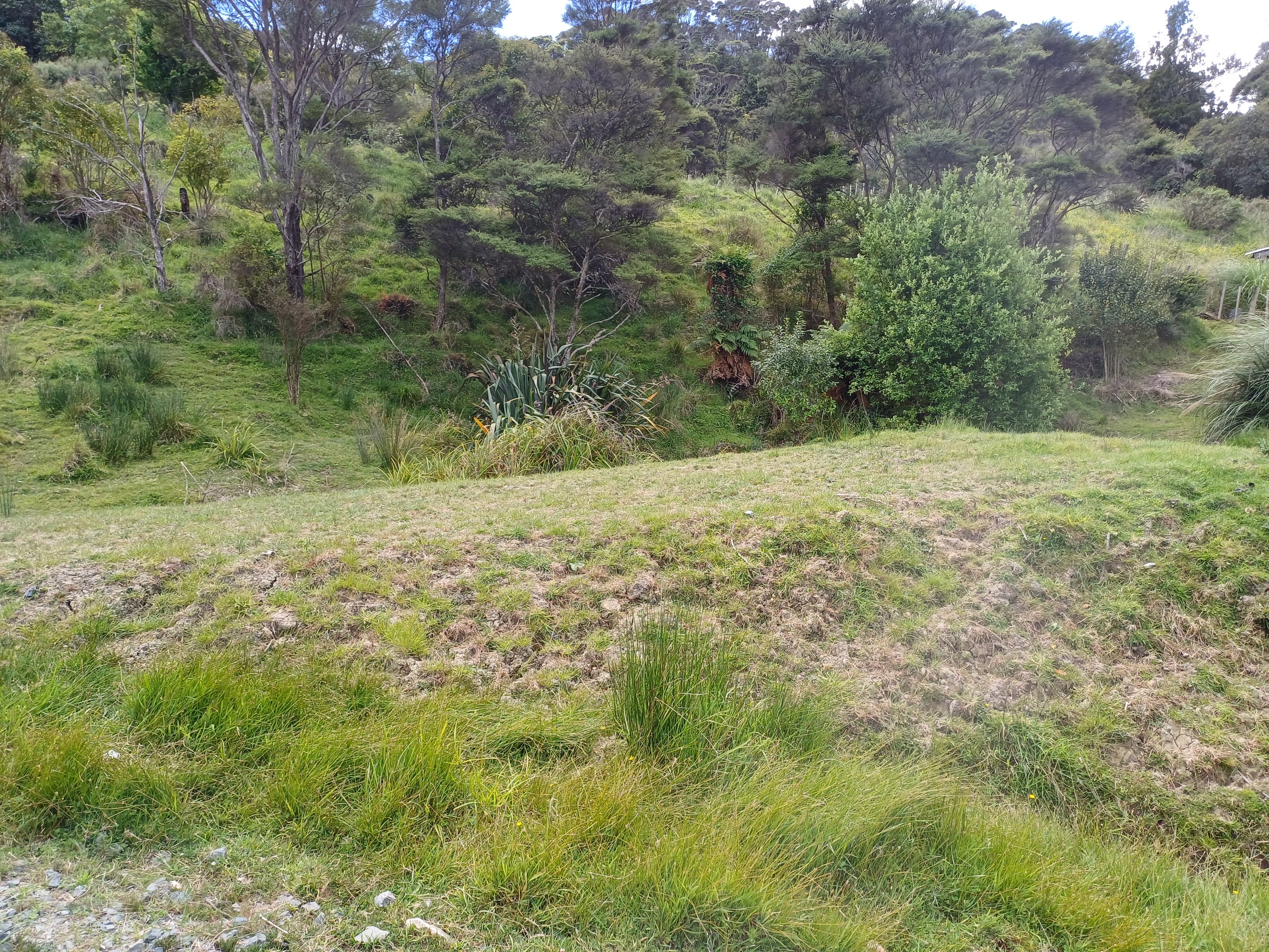 0 Raglan Road, Kawhia, Otorohanga District