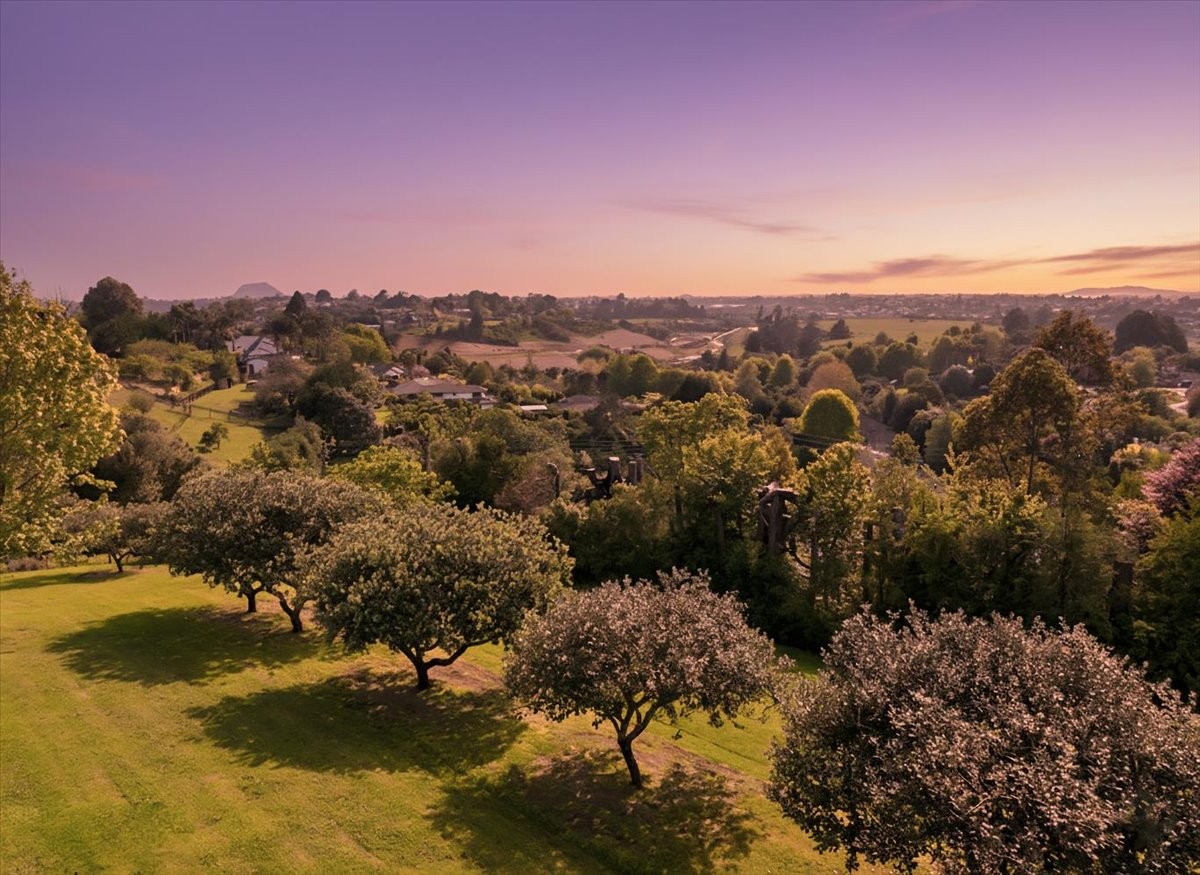 337 Cambridge Road, Tauriko, Tauranga City