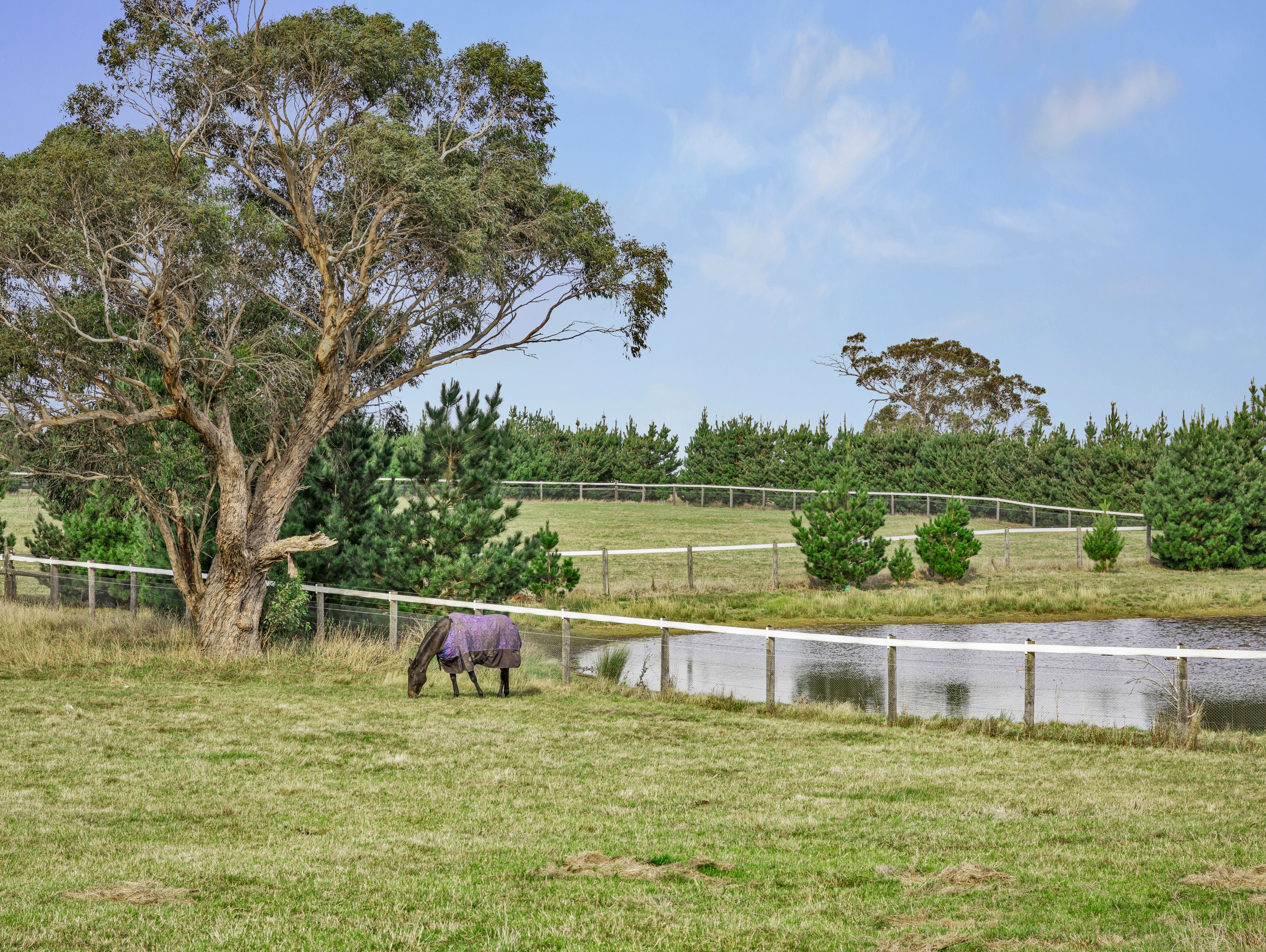 451 Beremboke Road, Beremboke, VIC 3342