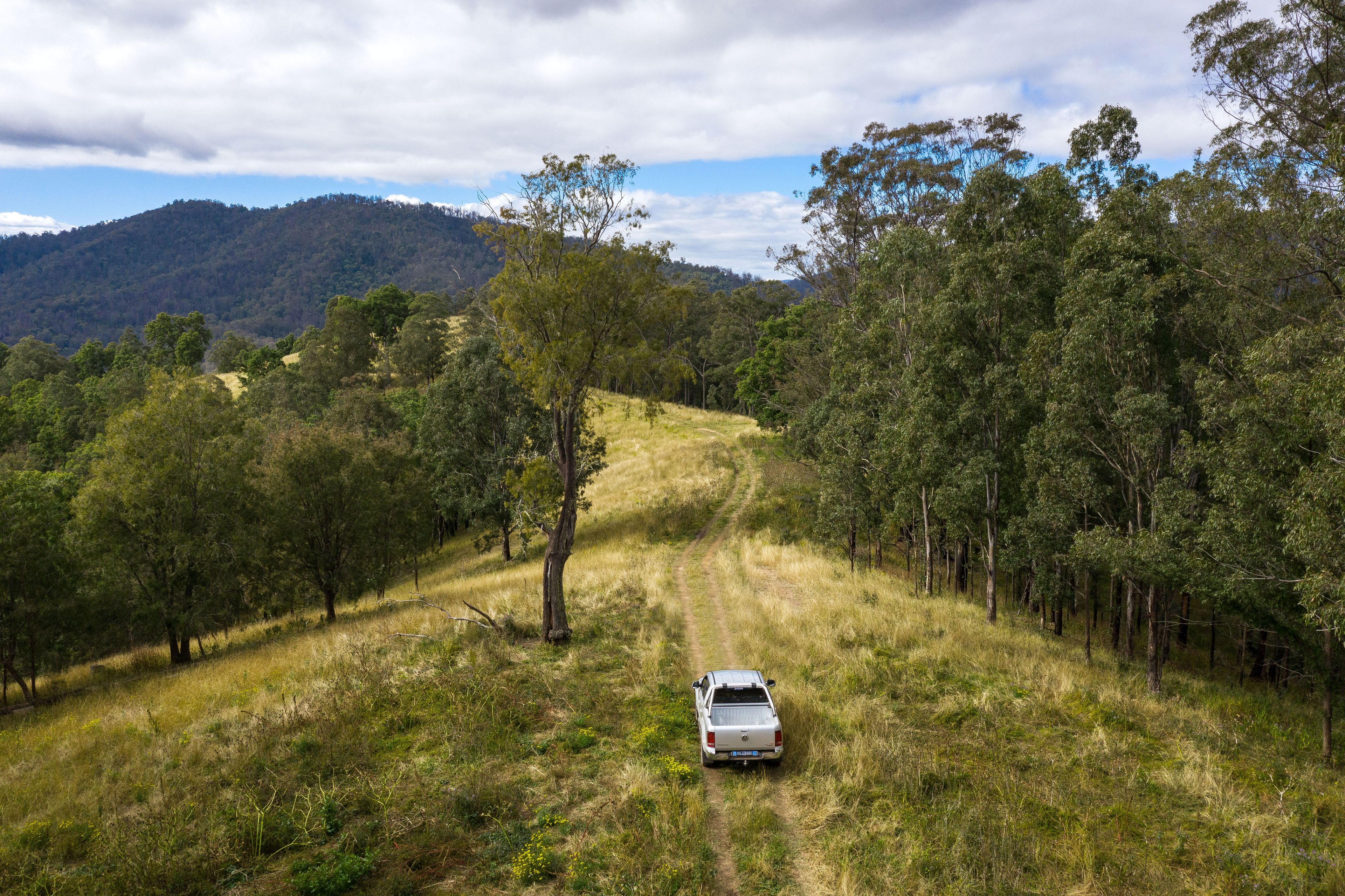 Lot 78 McPhersons Country Estate, Enfield Range Road, Cells River, NSW