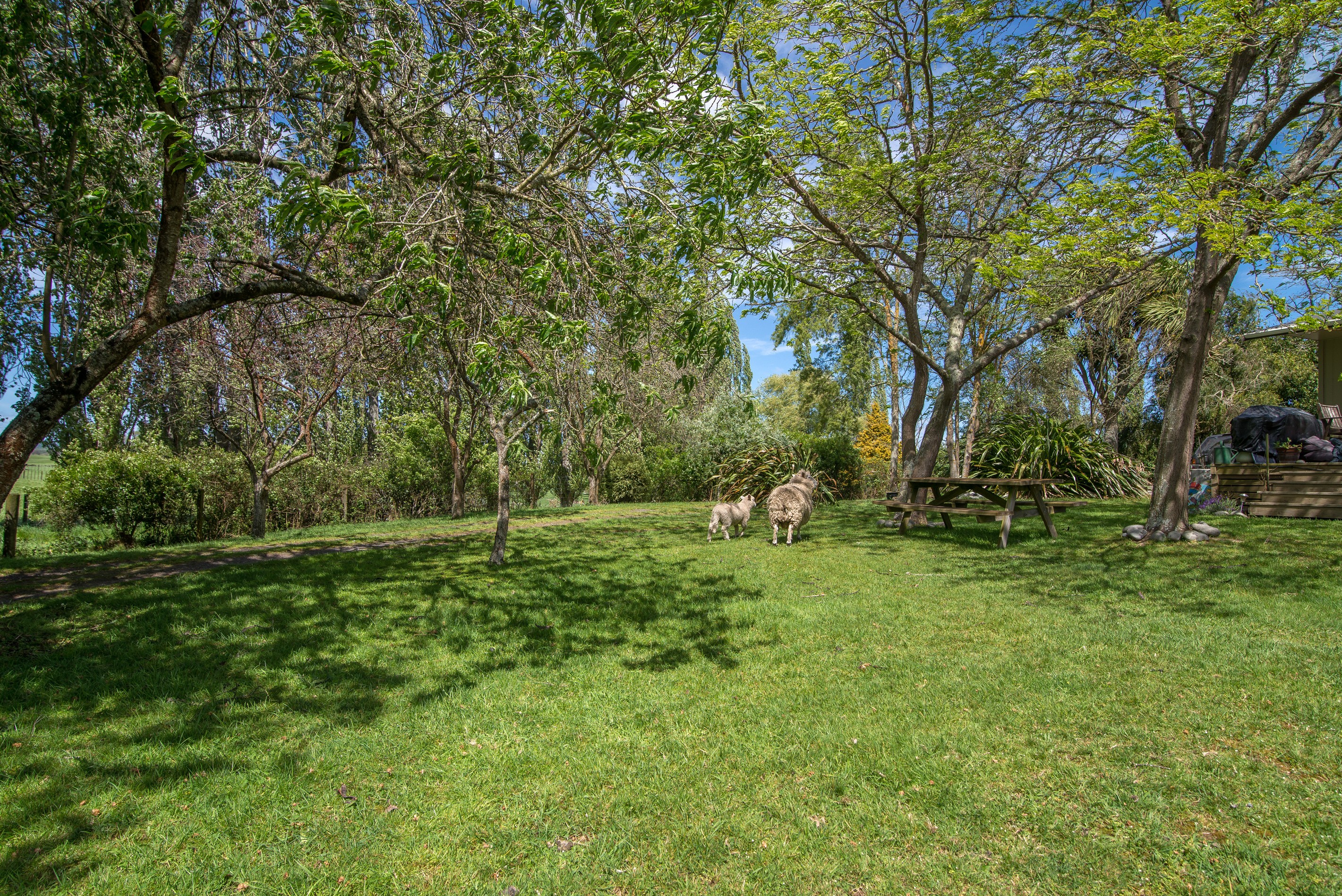 165 Halcrow Road, Reporoa, Rotorua District