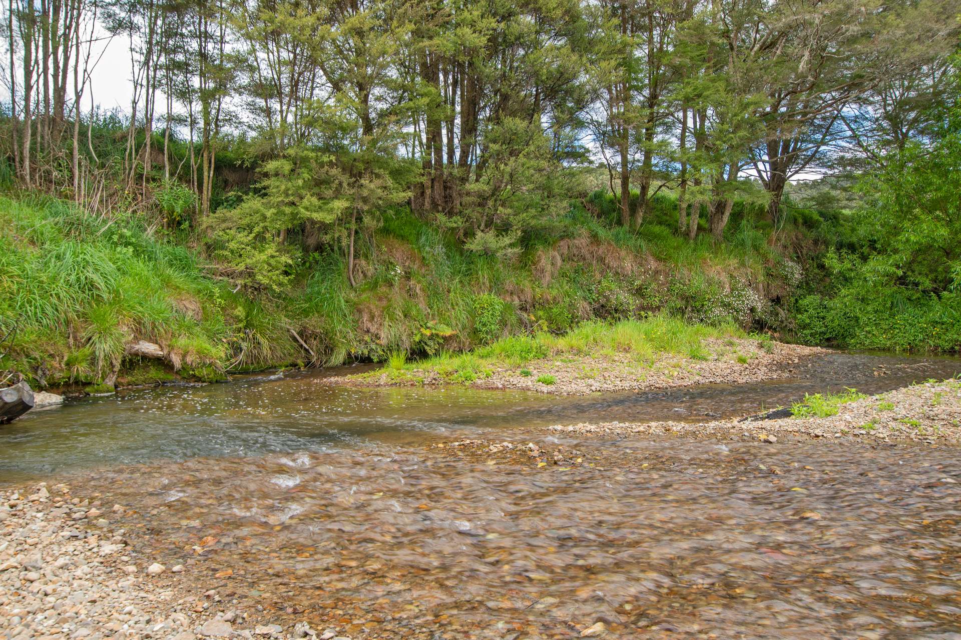 0 Russell Road Airstrip Block photo 35