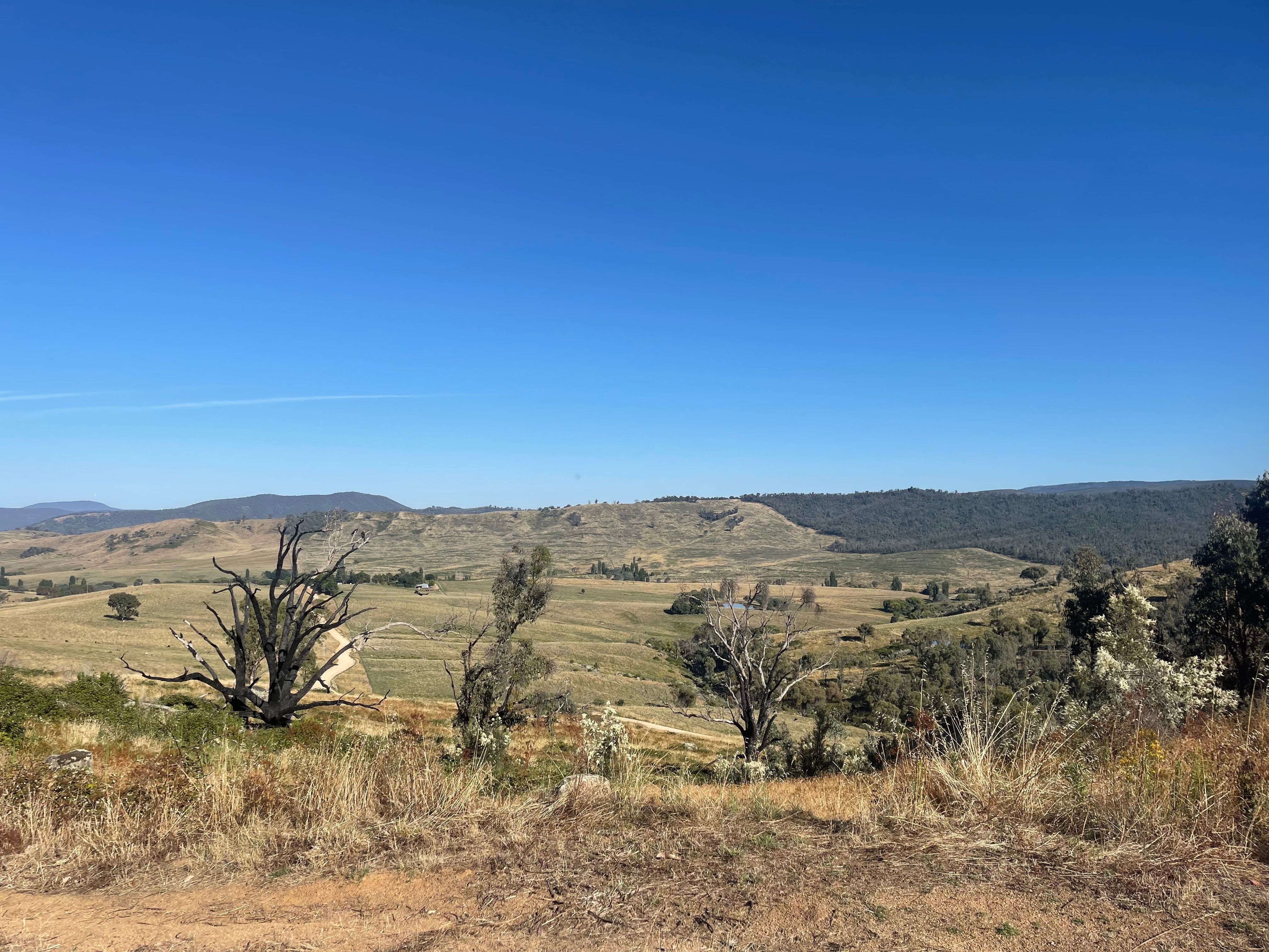 1230 Maragle Road, Maragle, NSW 2653 Rural Lifestyle Property for