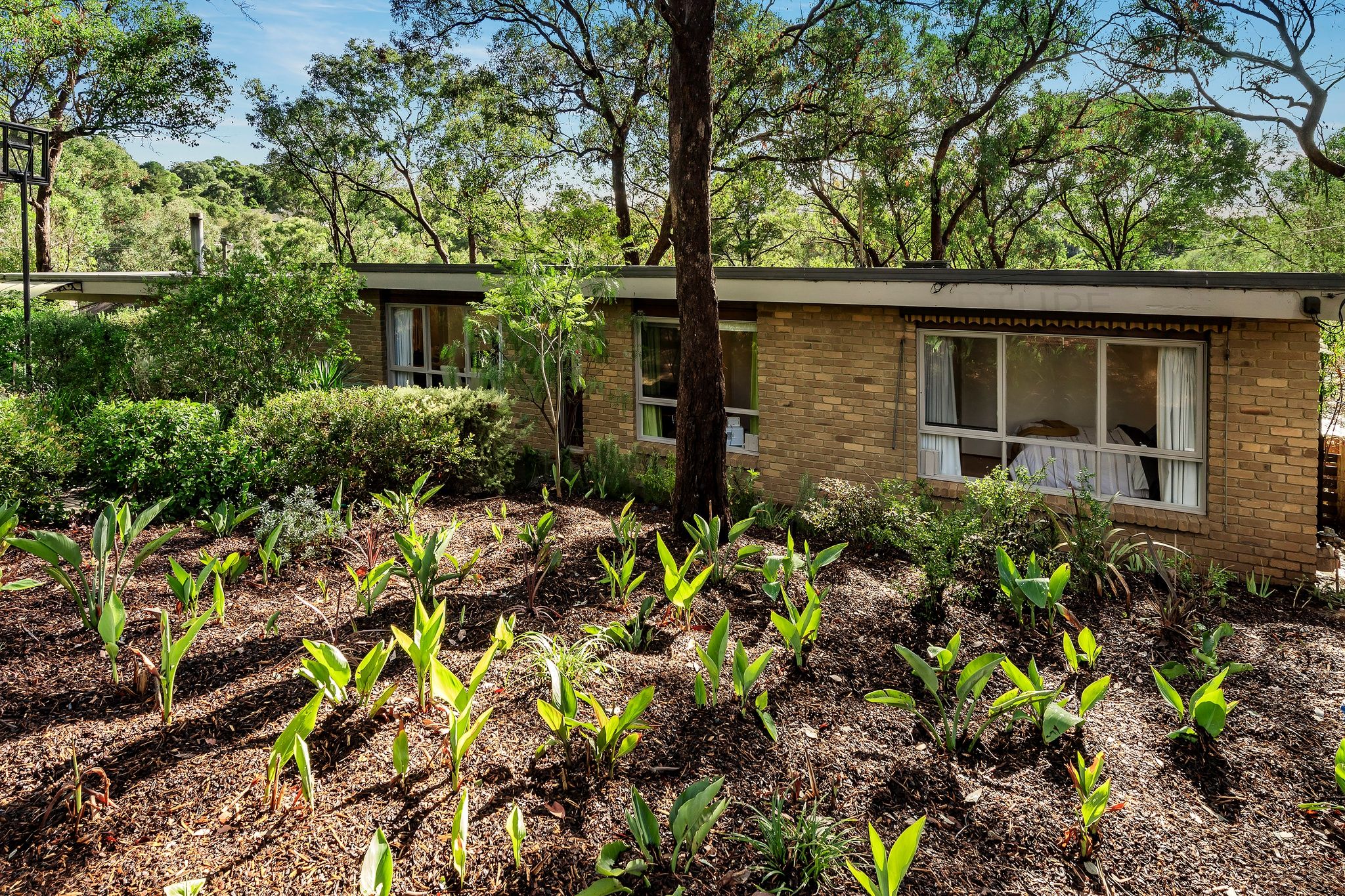 30 Edmonds Street, Diamond Creek, VIC 3089 Sold House Ray White Eltham