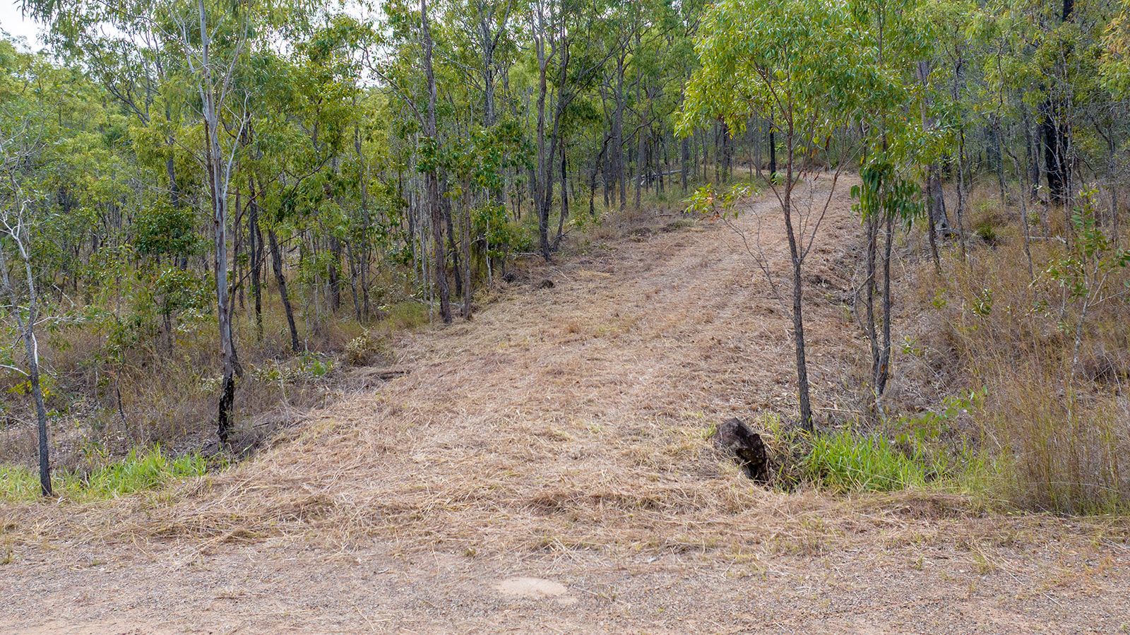 Lot 96 Avocado Crescent — photo 12 of 16