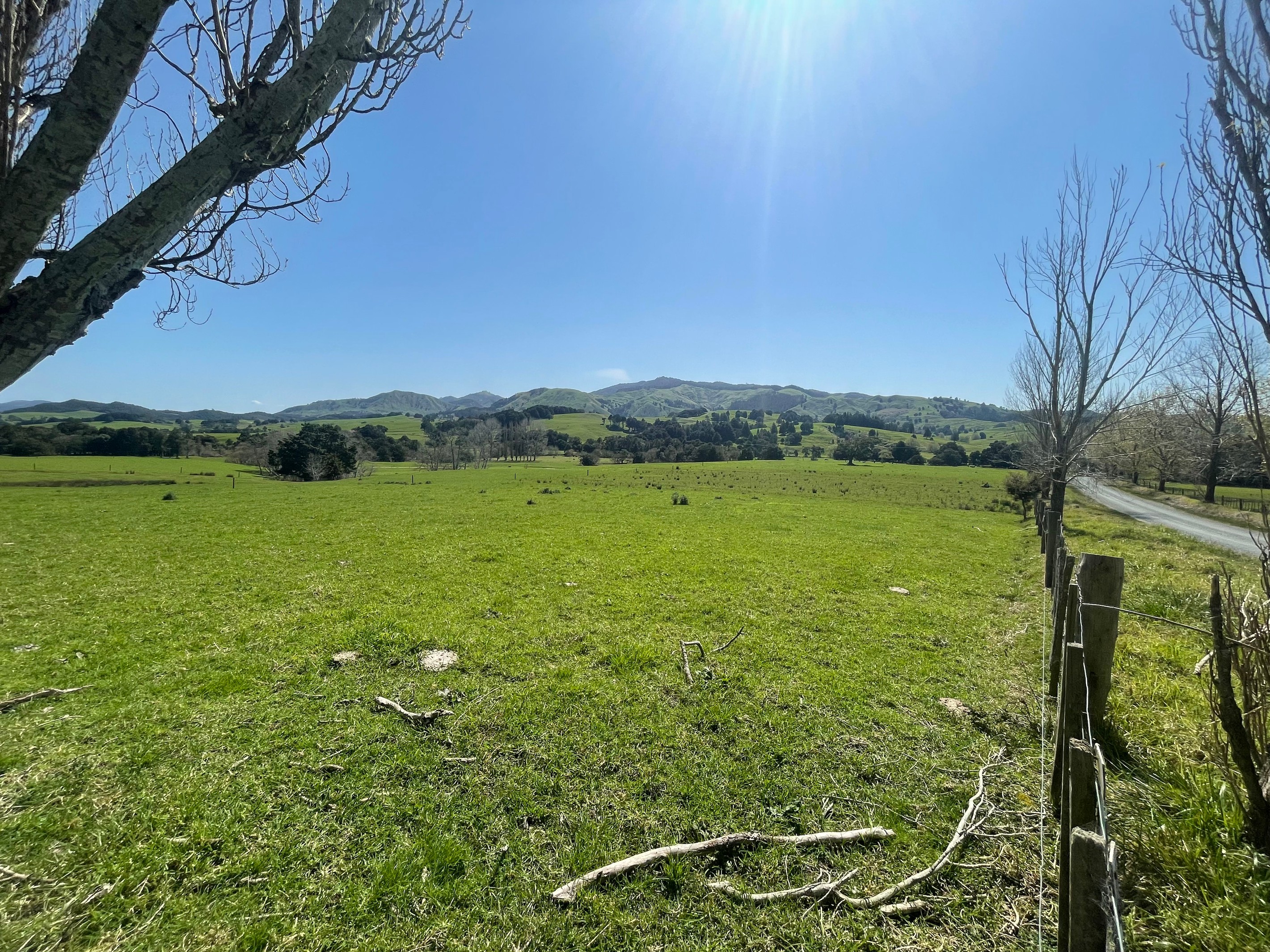 0 Cnr of Pipiwai Road and Limeworks Road, Purua, Whangarei District
