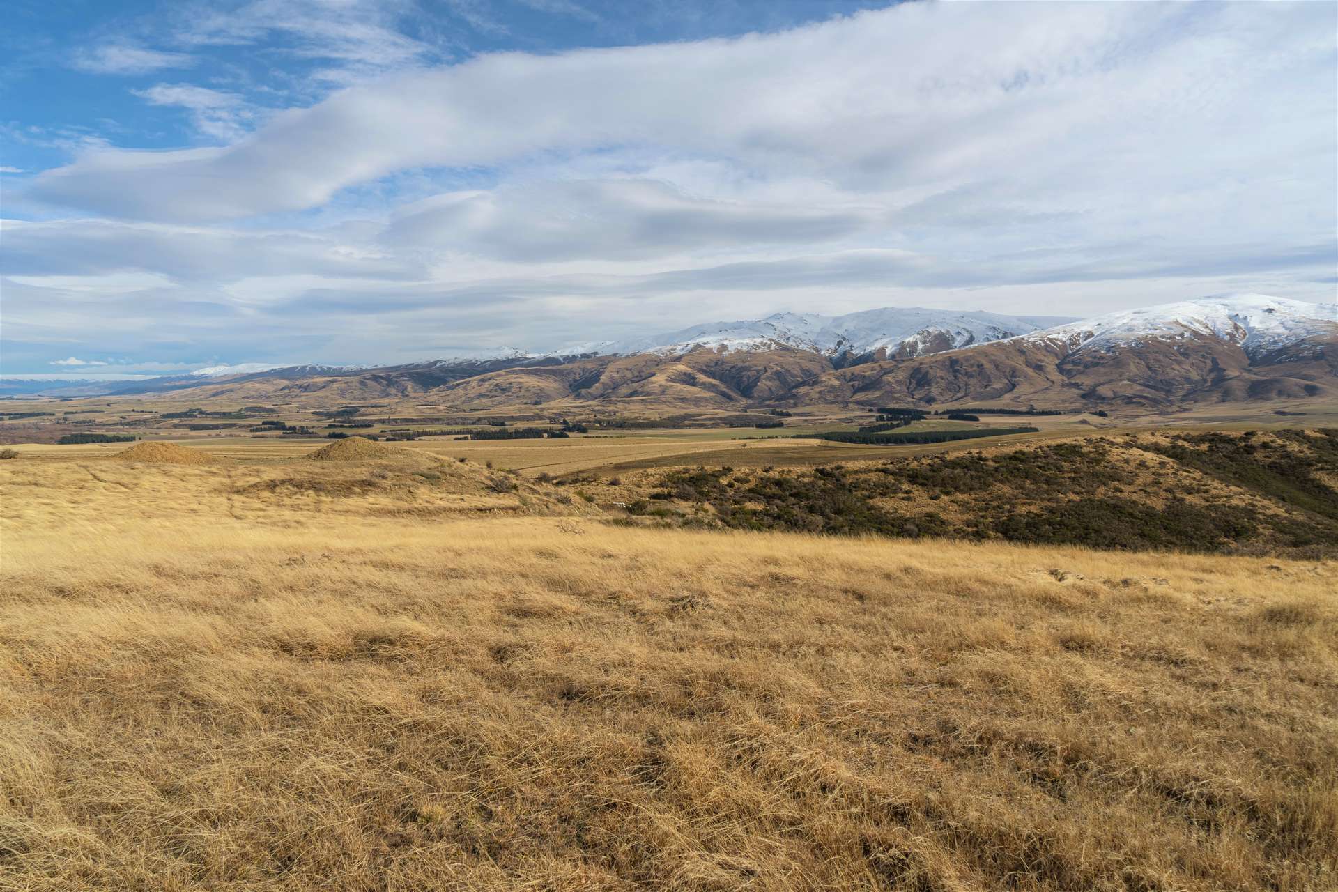 0 St Bathans Road photo 7