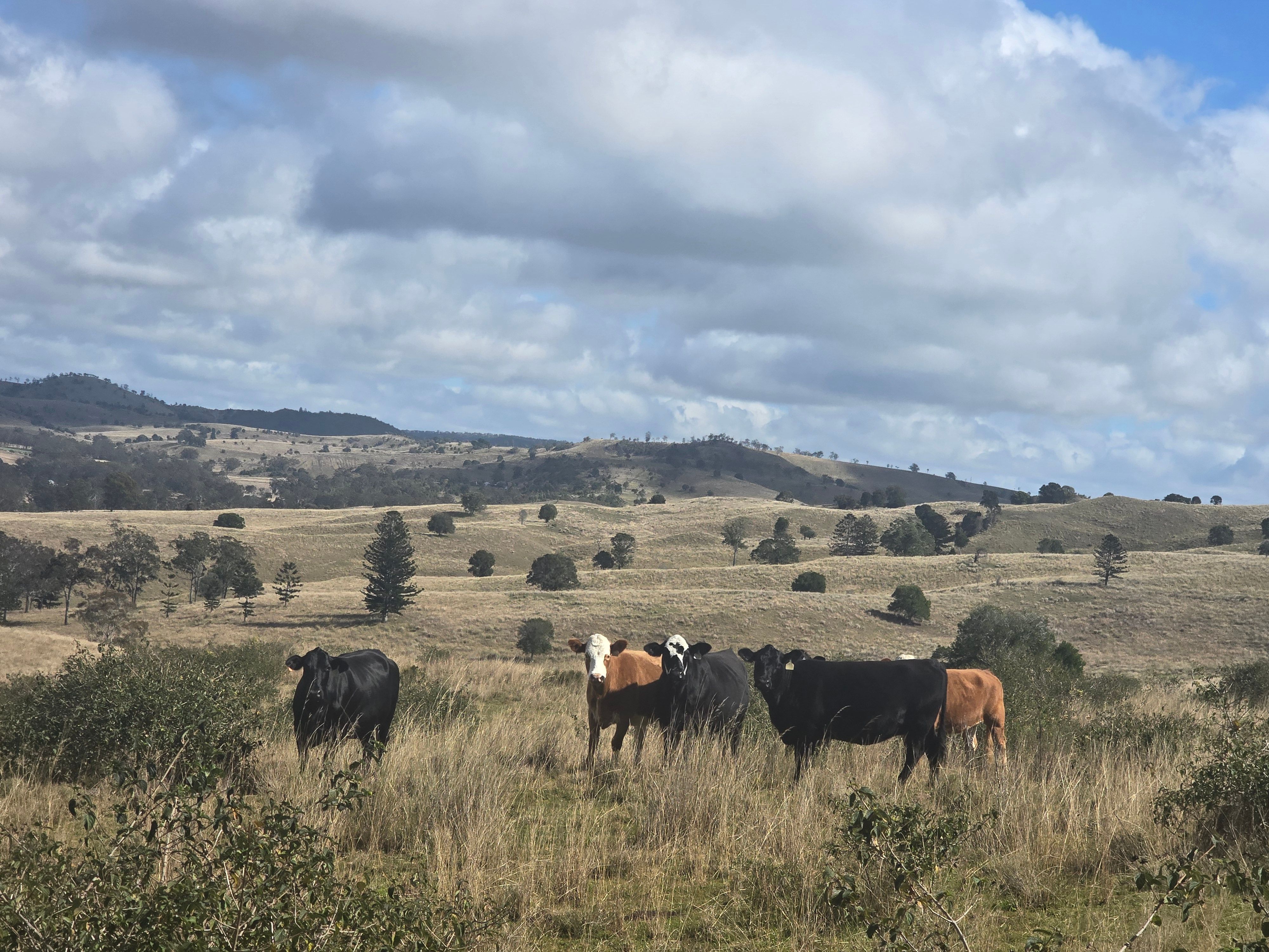 Lot 314 New England Highway — photo 11 of 14