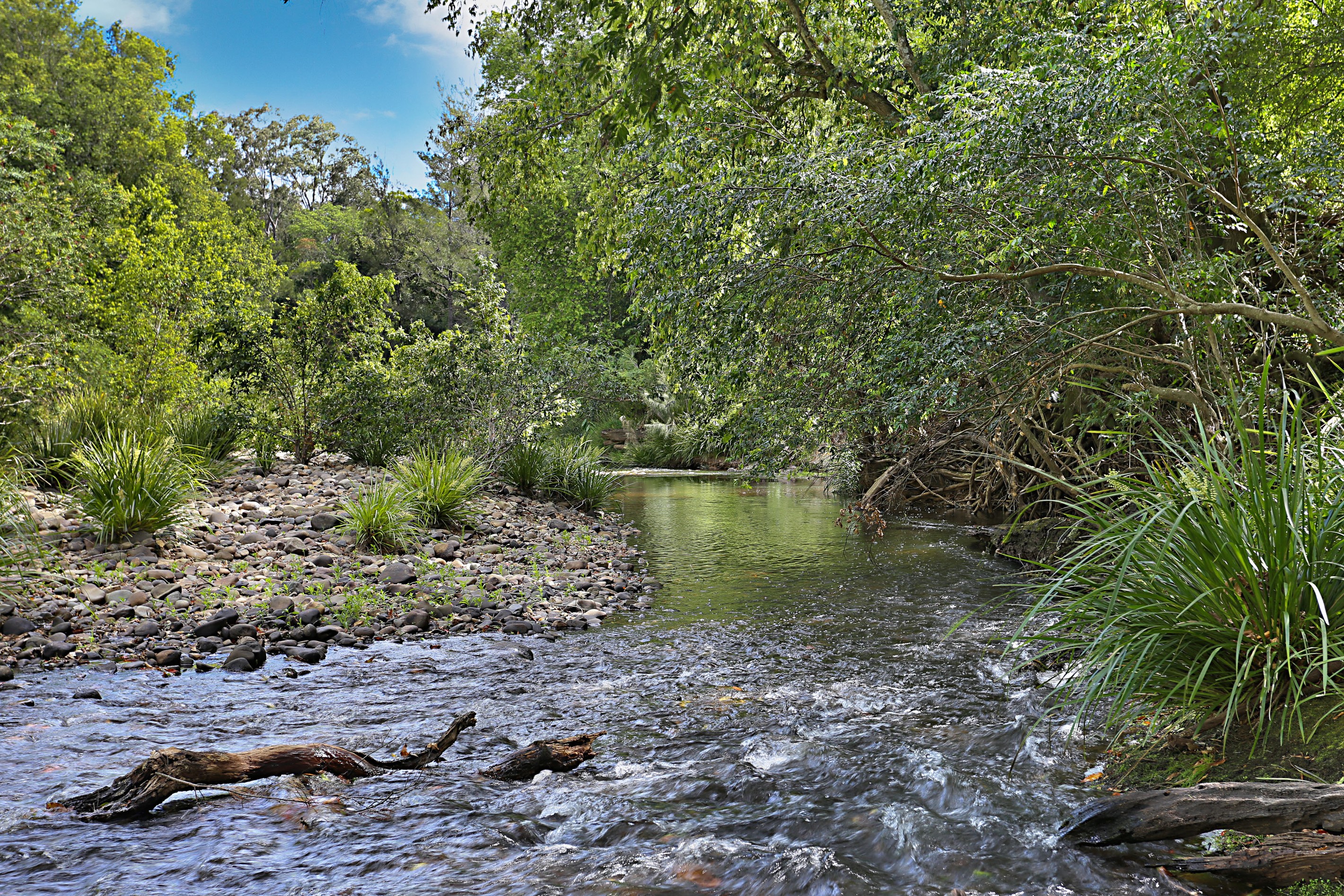 270 Fosterton Road, Dungog, NSW 2420
