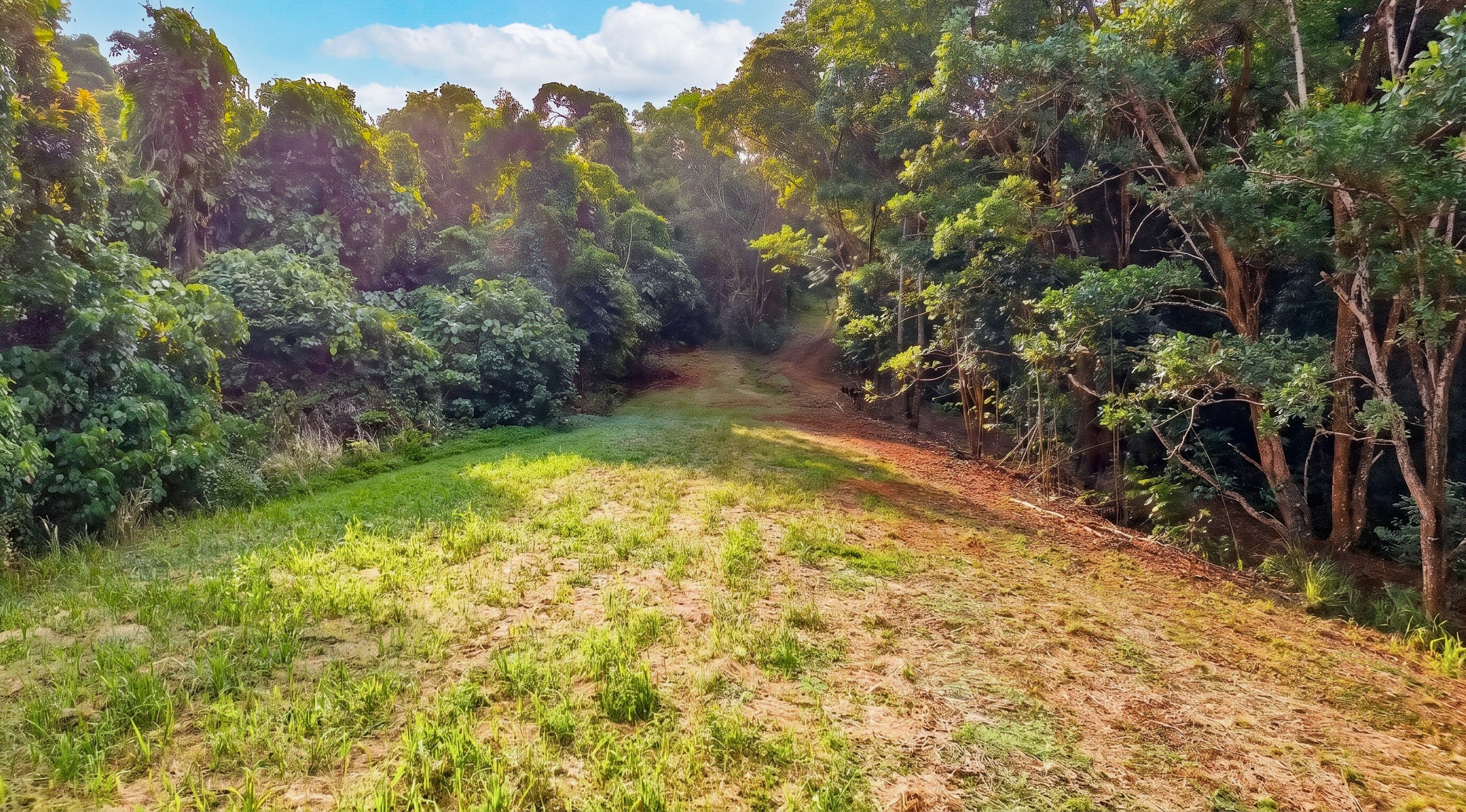Lot 997 Rockingham Drive — photo 16 of 18