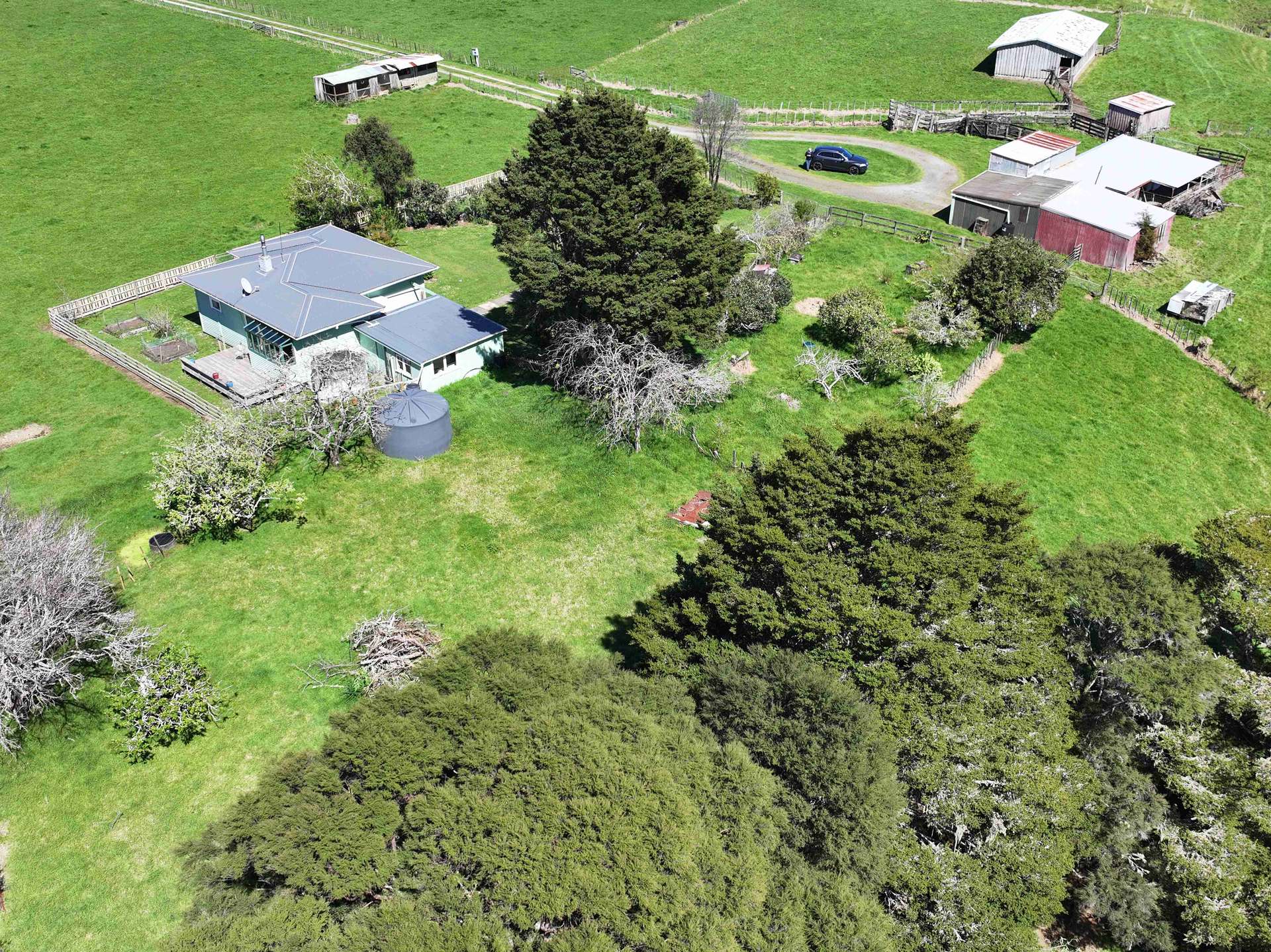 593 Peria Road photo 8
