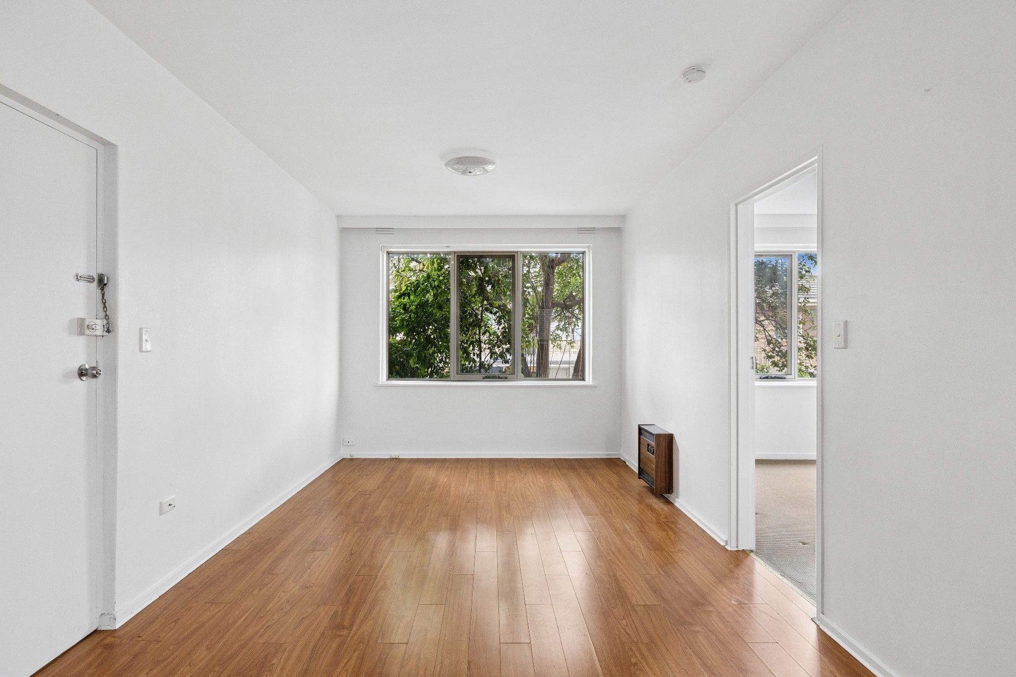 4/446 Albion Street — photo 3 of 11