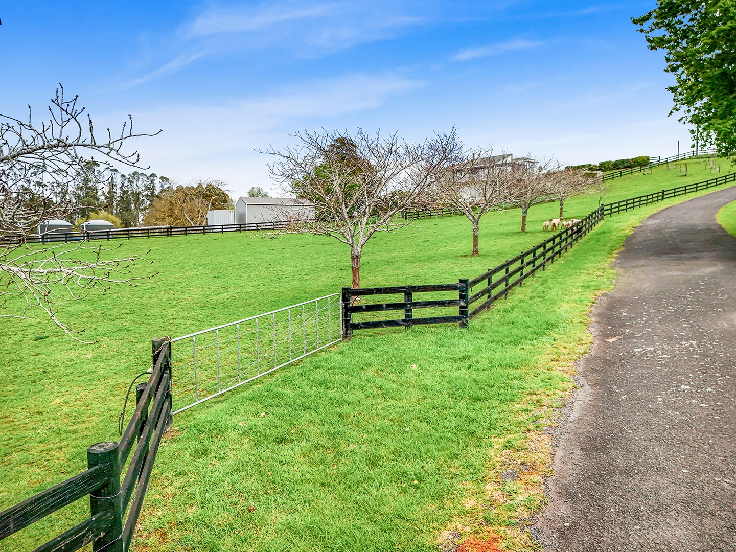 2/7 Faiping Road, Rukuhia, Waipa District