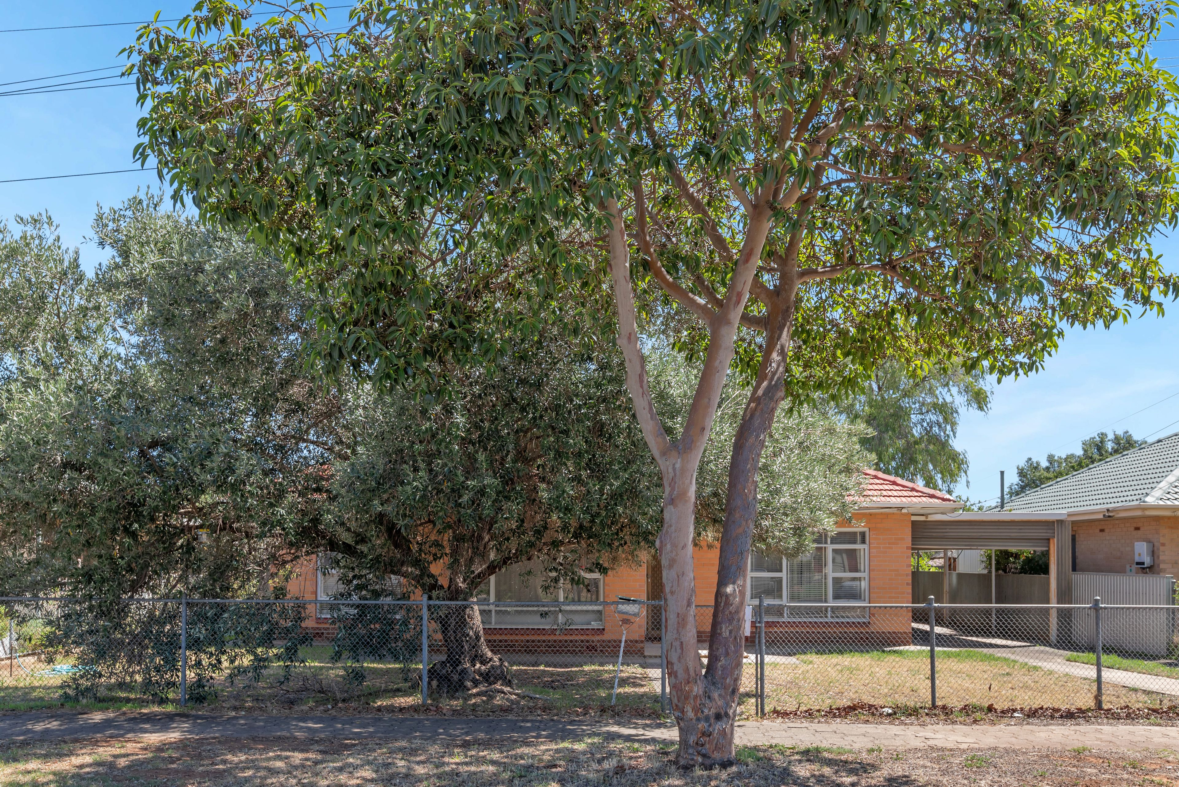 7 Adaluma Avenue, Pooraka, SA 5095