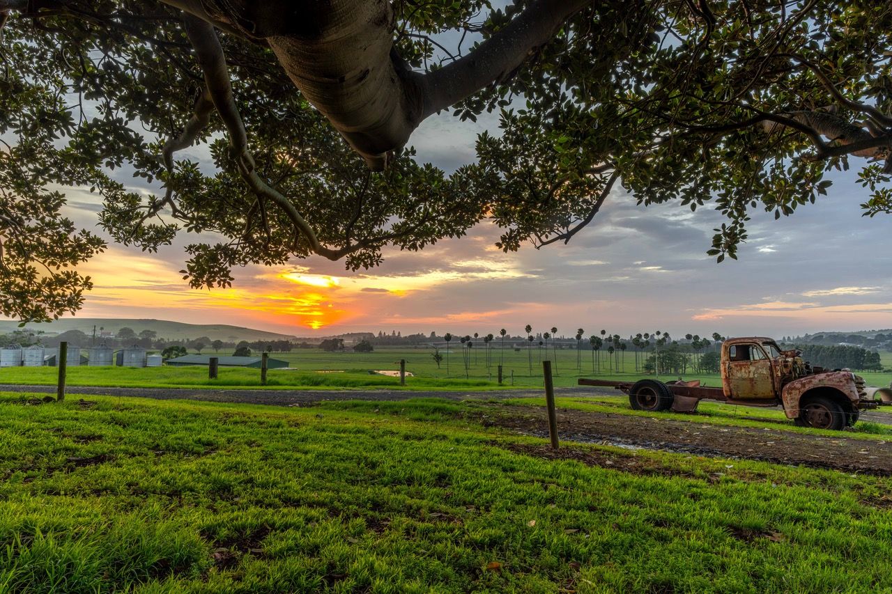 Lot 3002 - Alne Bank Rose Valley Road, Rose Valley, NSW 2534