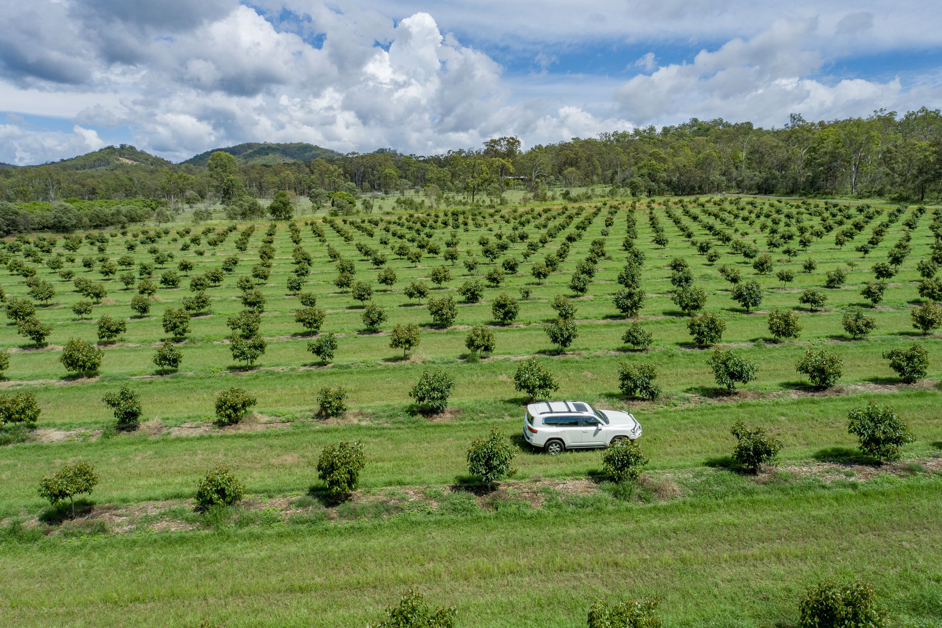 "Pinnacle Farms" 1411 Gatton Esk Road, Spring Creek, QLD 4343 Rural