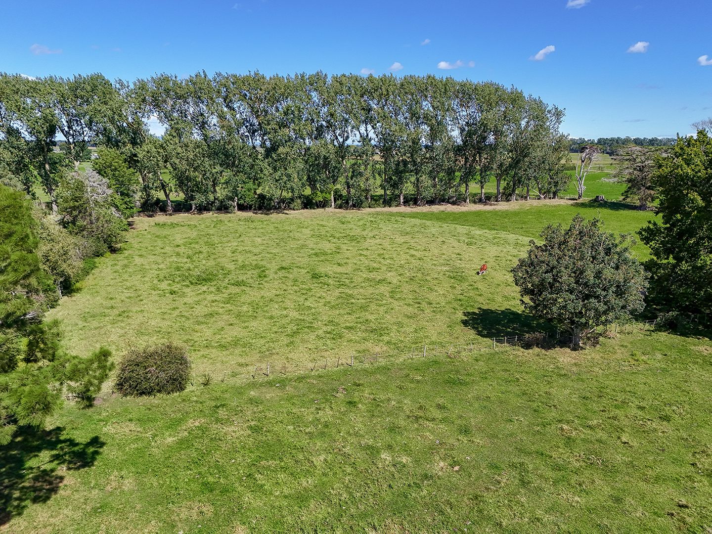 328 Puketaha Road, Puketaha, Waikato District