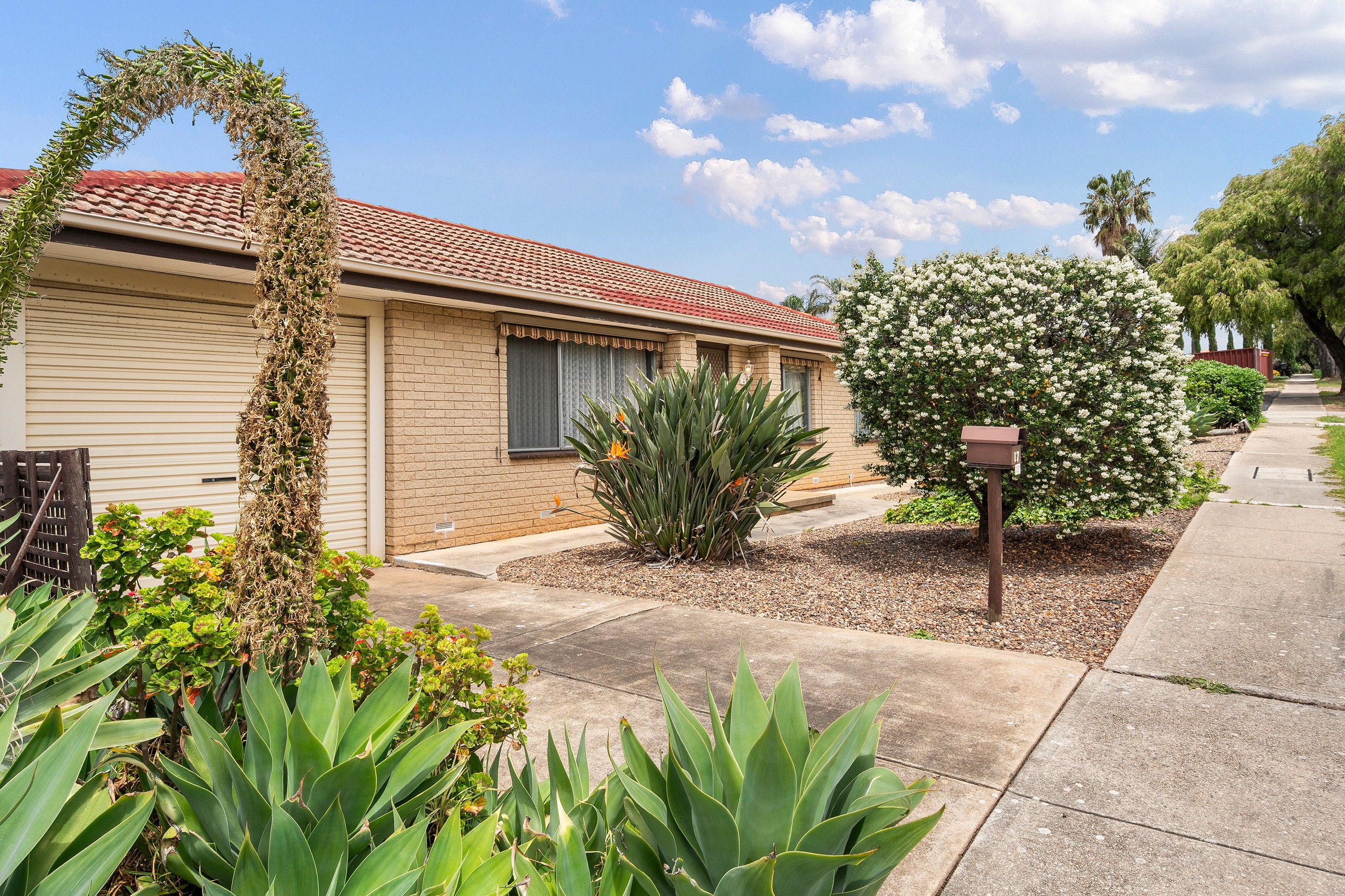 17 Penguin Street, Modbury North, SA 5092