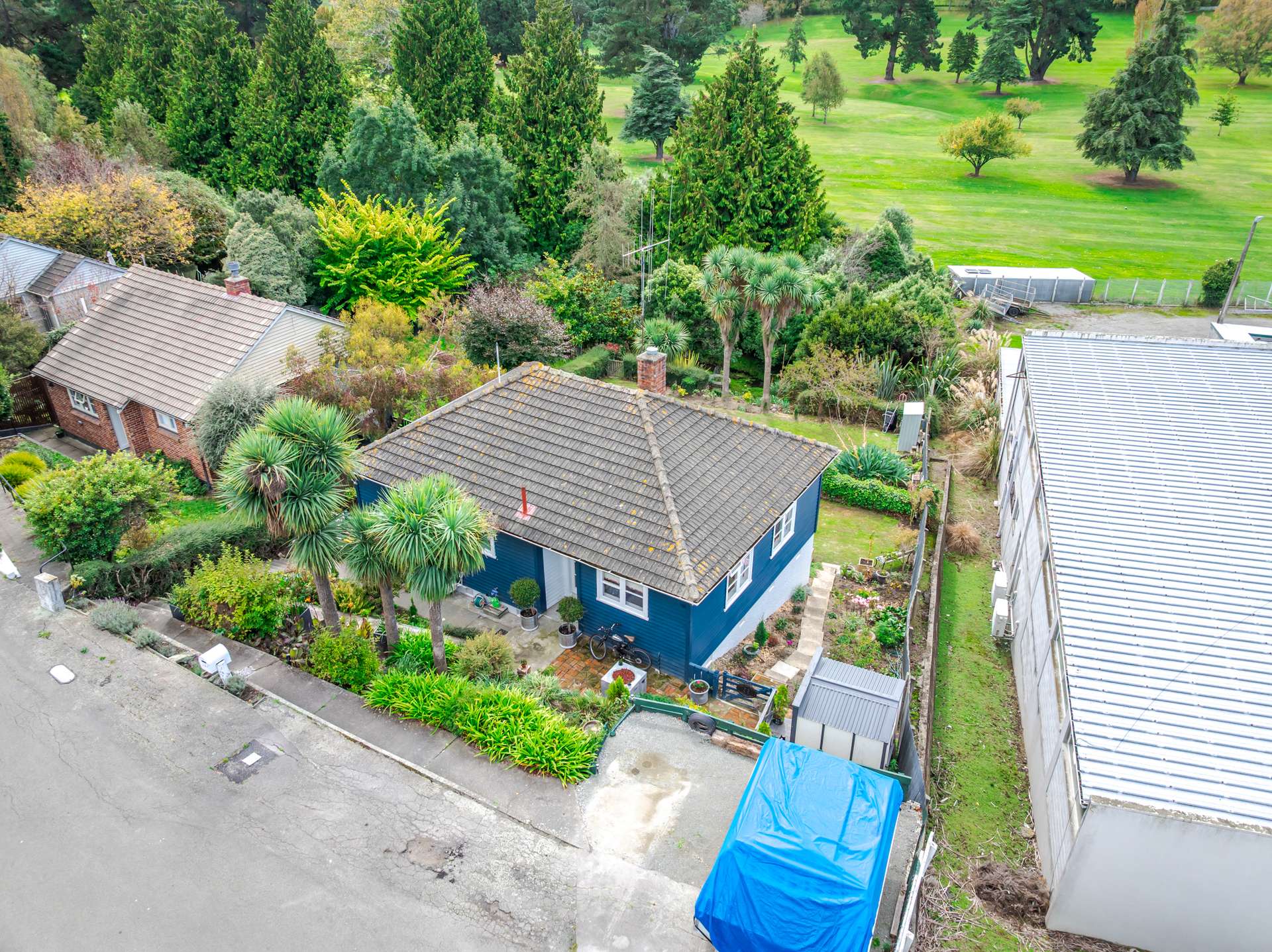 121 Douglas Street photo 26