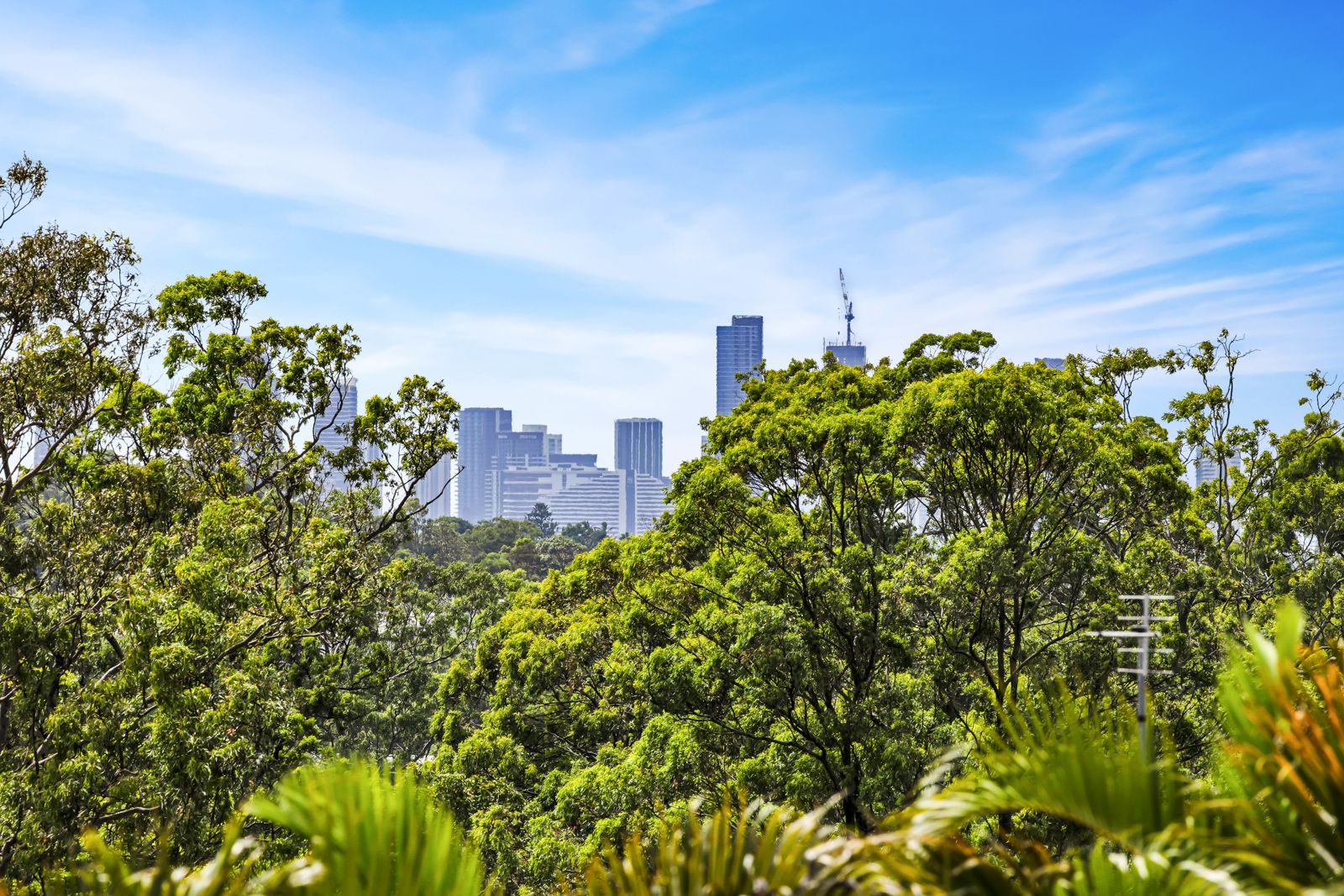 2/17 The Locale, Nerang, QLD 4211
