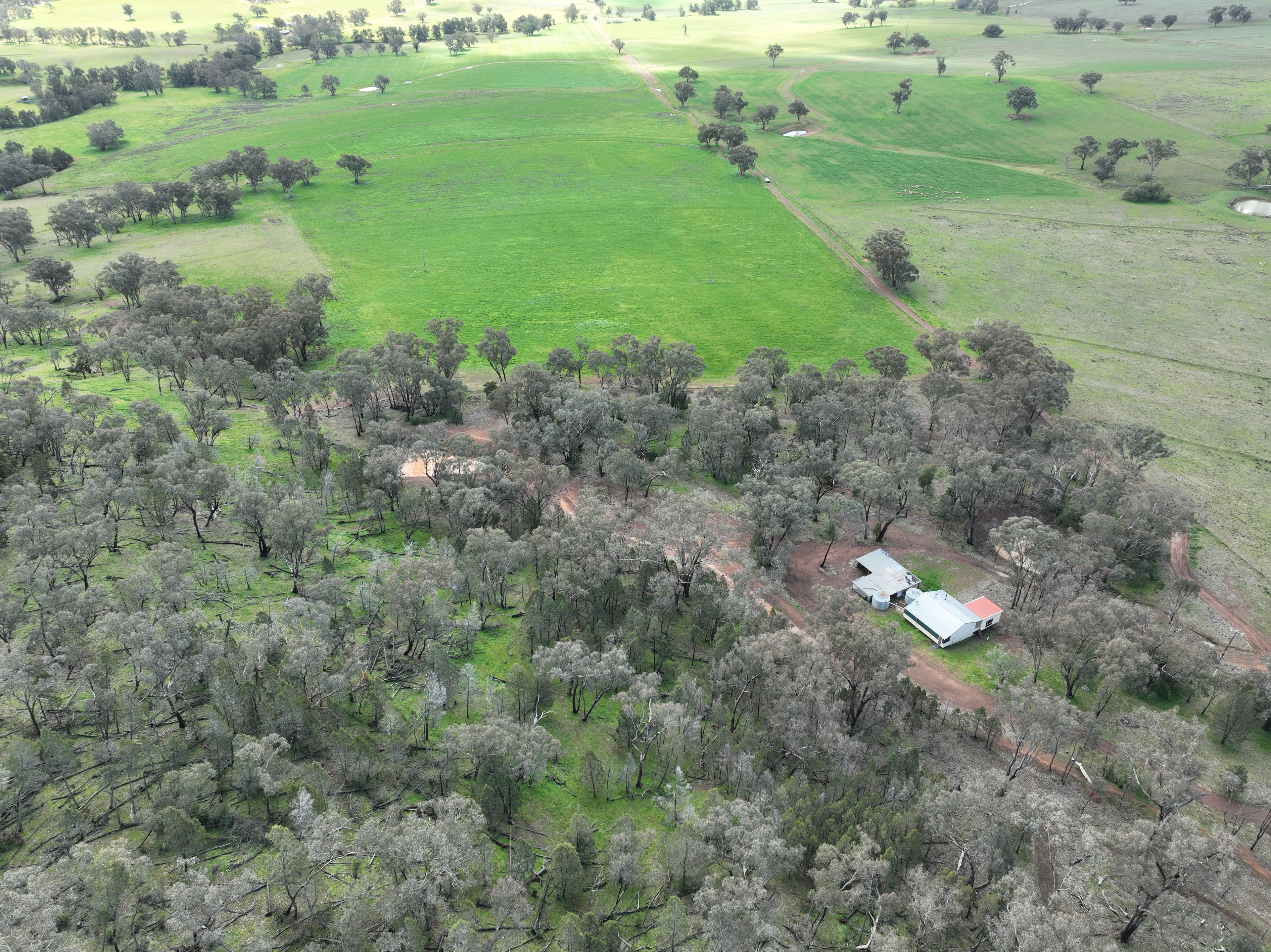 'Fox Hill' 573 Blathery Creek Road — photo 7 of 18