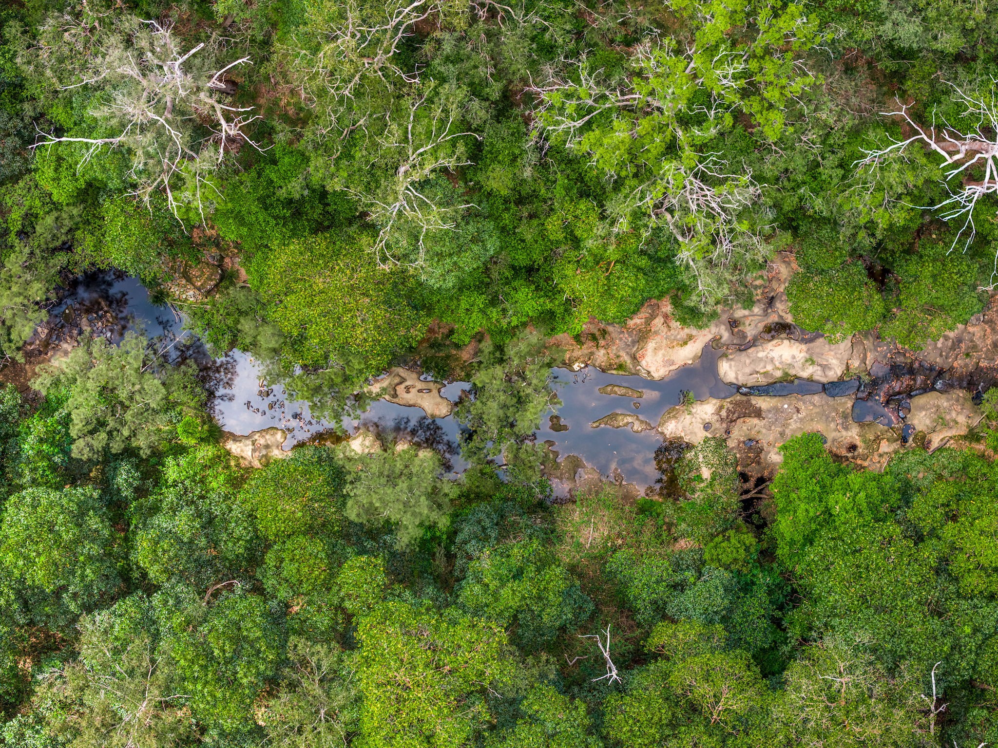 497 Yabbra Road, Bonalbo, NSW 2469