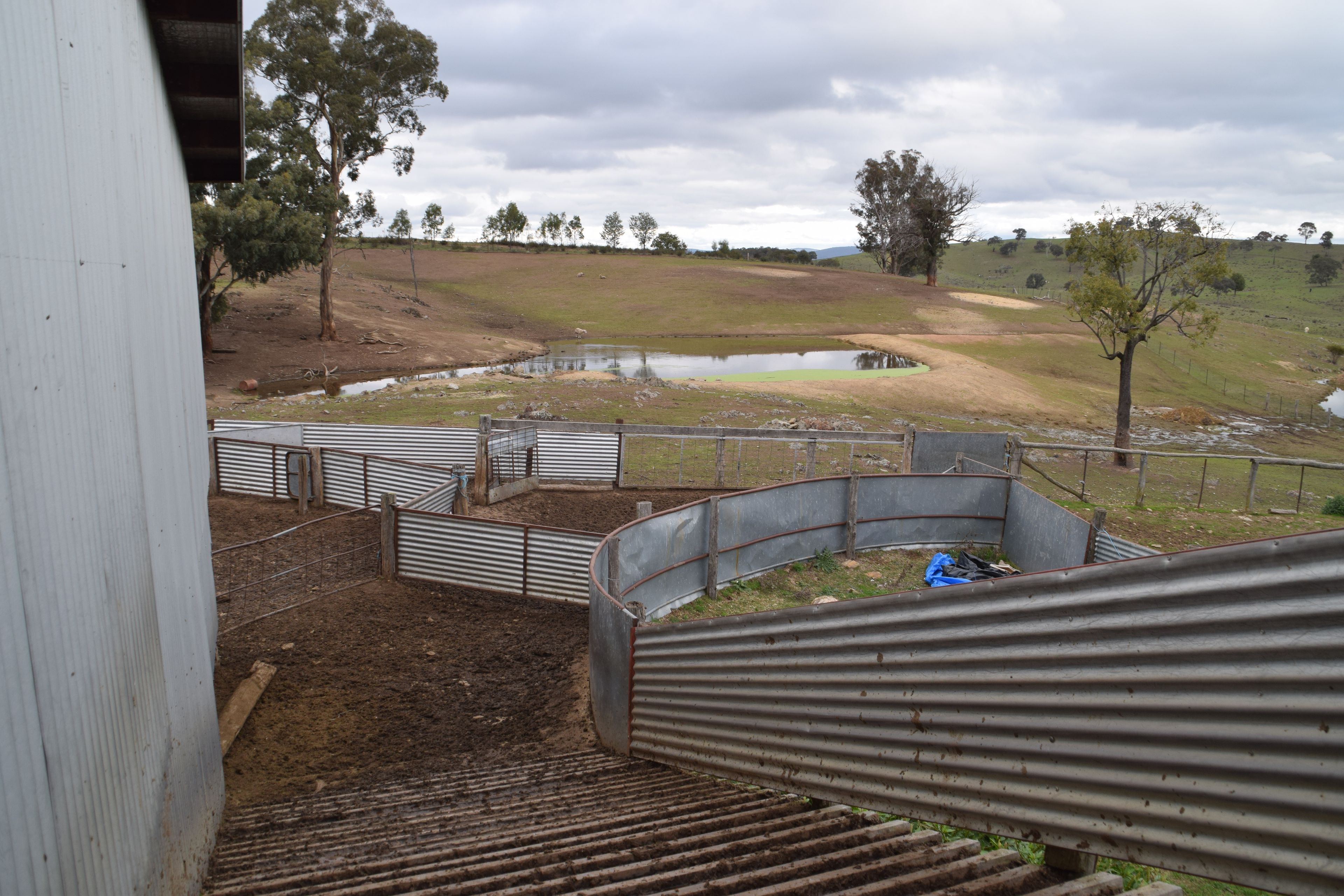 'Morella' 1257 Bundalah Road — photo 19 of 29