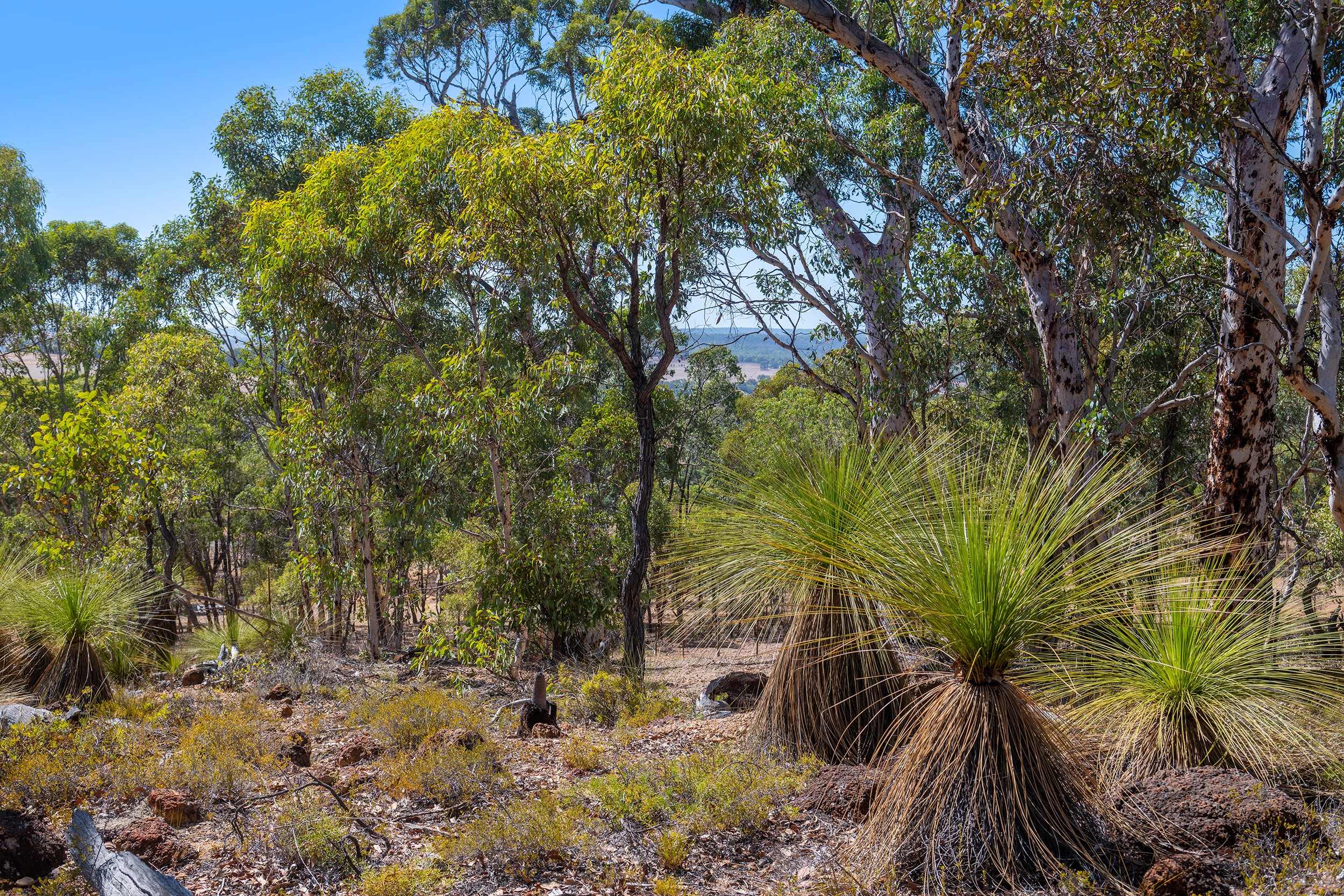 94 Holstein Loop, Lower Chittering, WA 6084