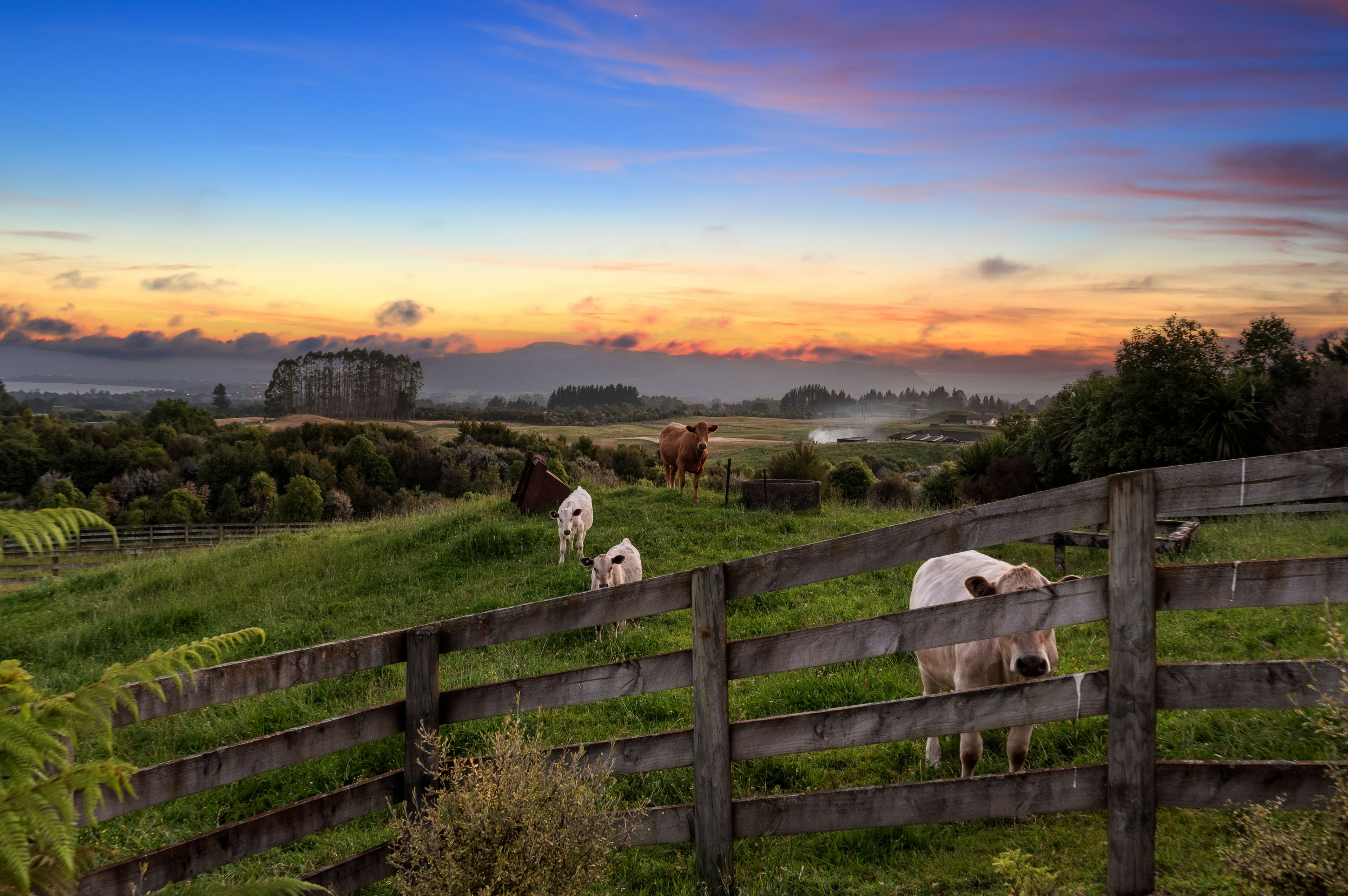 371 Central Road, Hamurana, Rotorua District