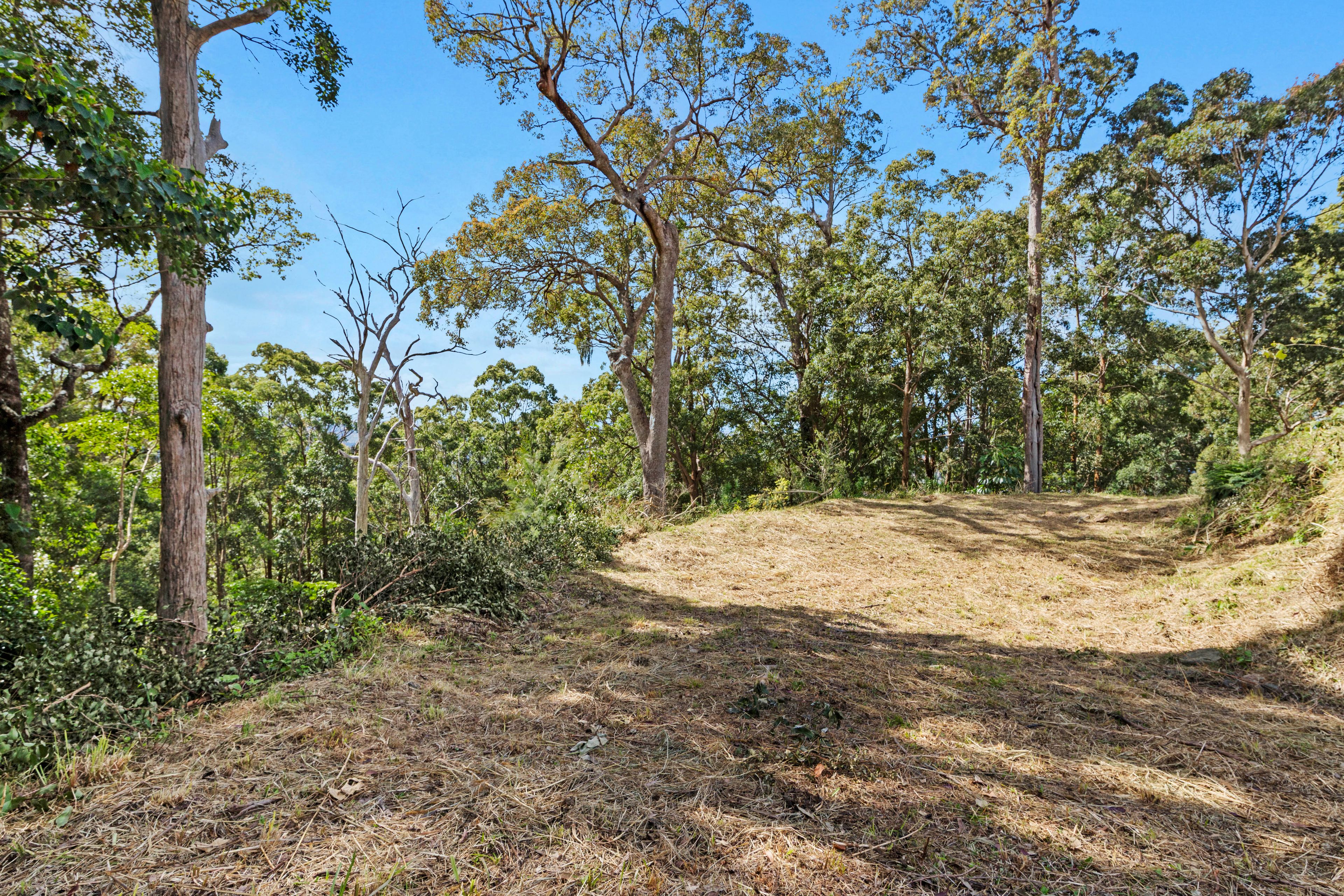 46 Landman Court — photo 7 of 13