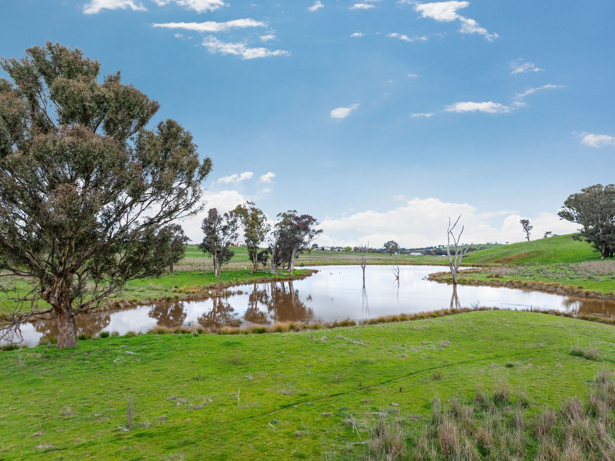 "Reynoldsdale", 1056 Lachlan Valley Way — photo 4 of 30