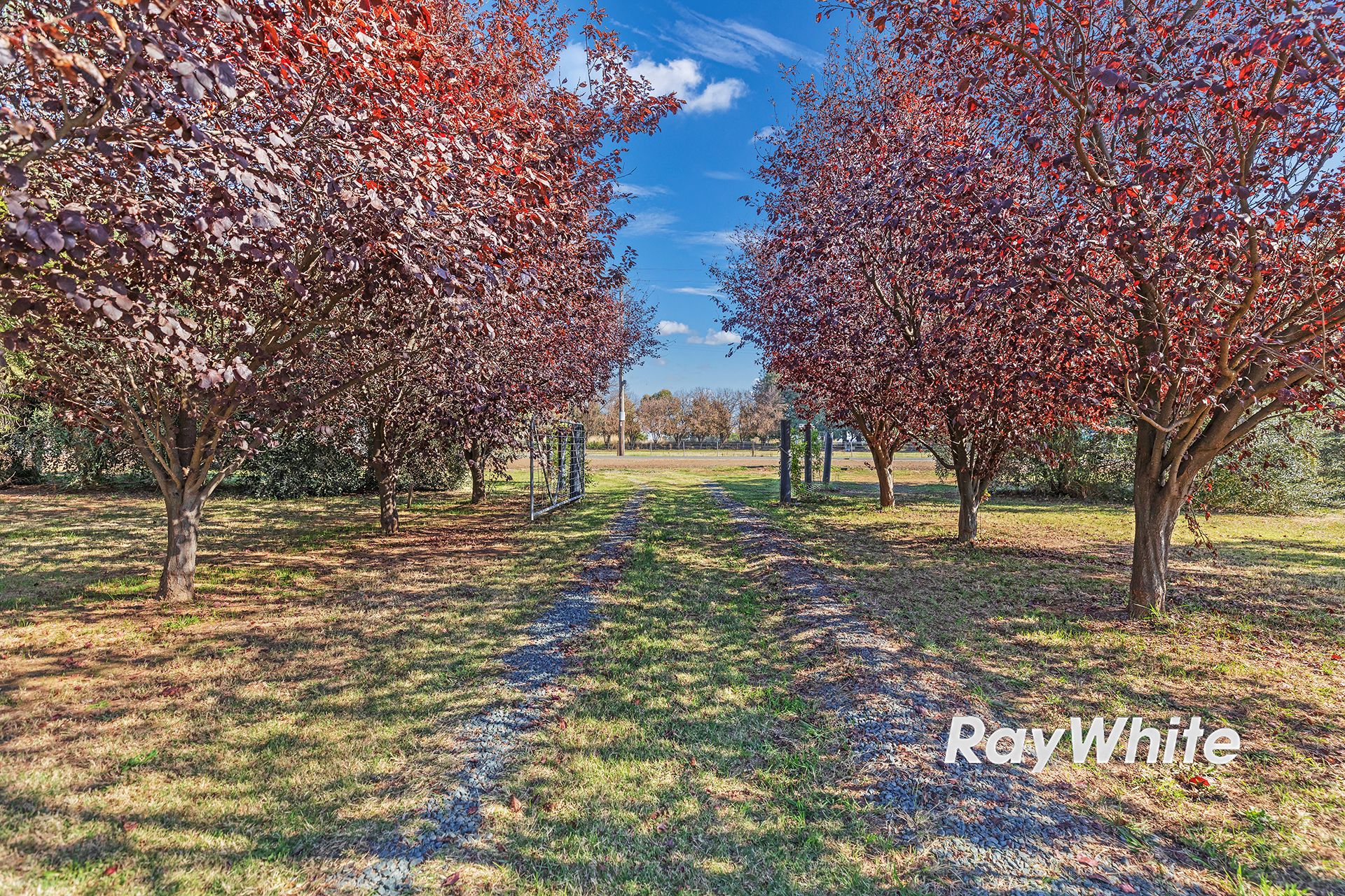 891 Bamawm Road, Bamawm, VIC 3561