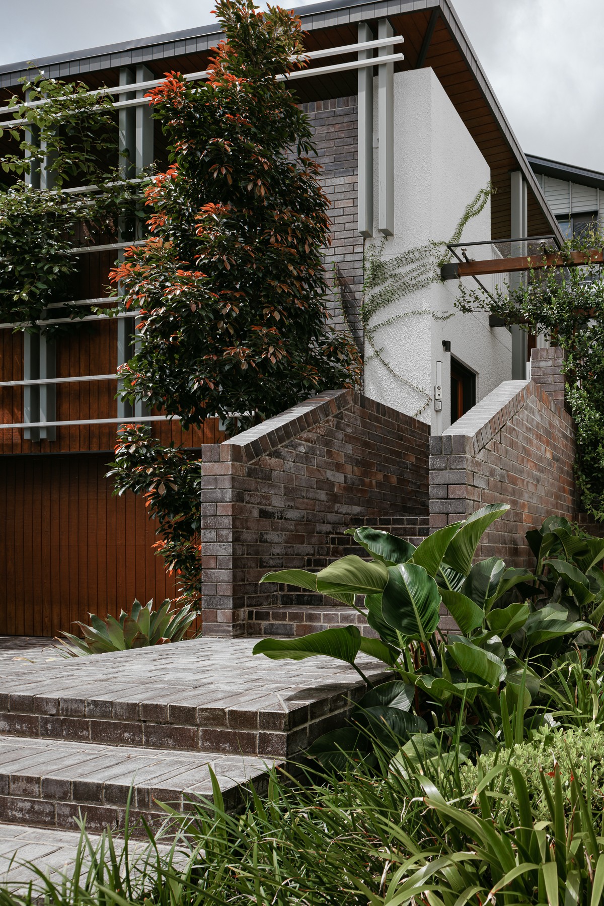 36 Carroll Street, Bardon, QLD 4065