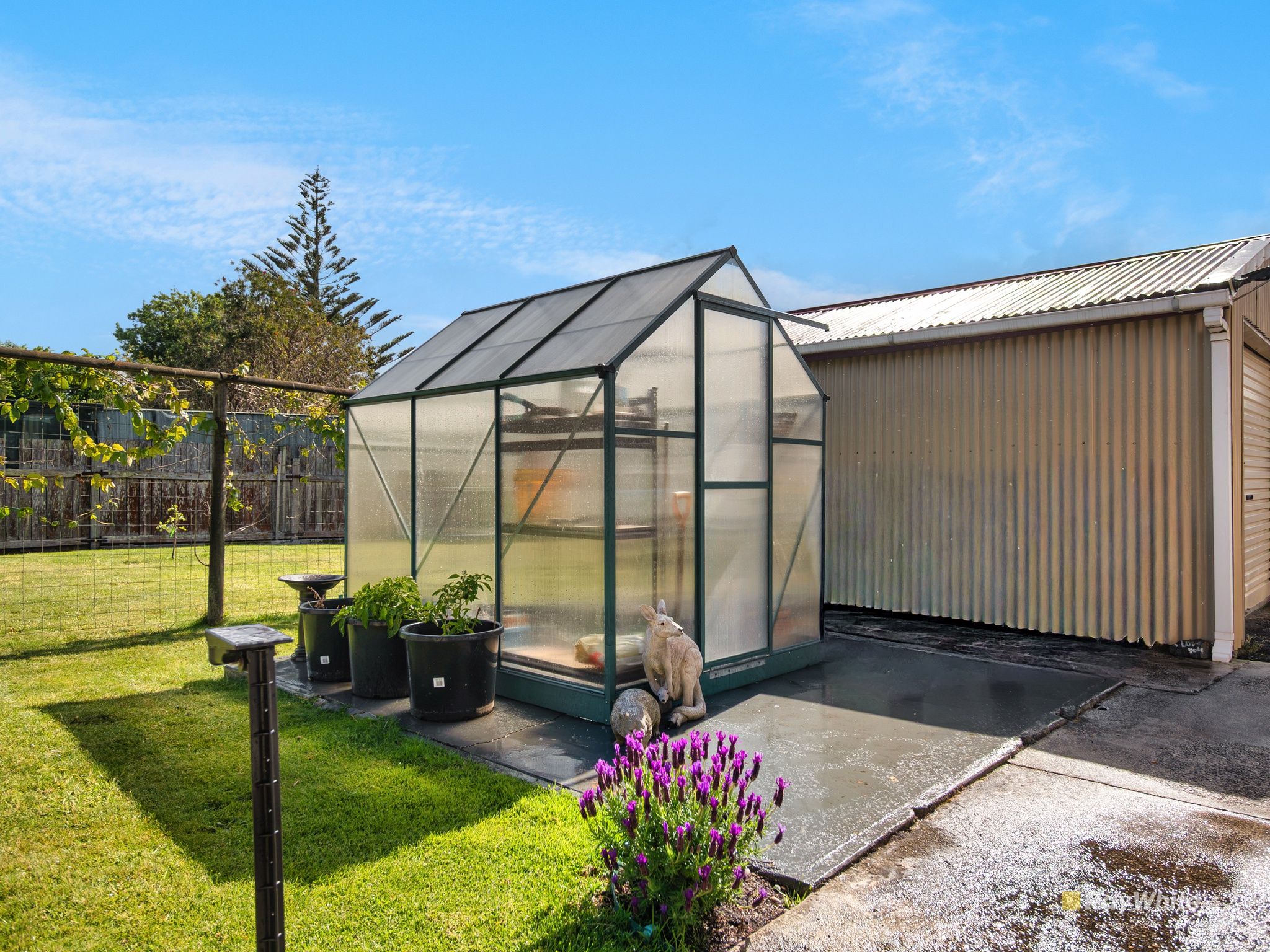 15 Jenner Street — photo 13 of 15