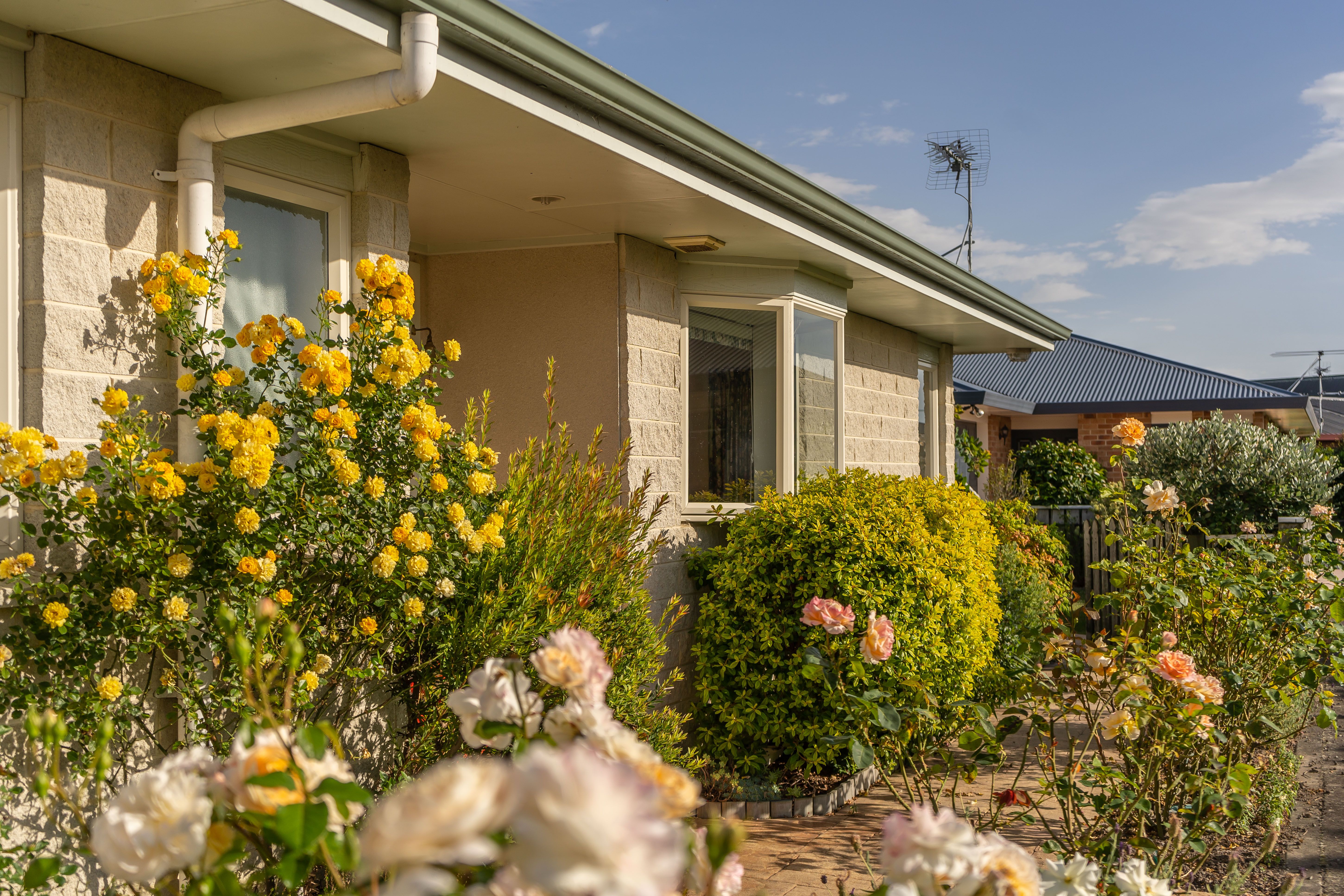30 Cole Street, Masterton, Masterton District