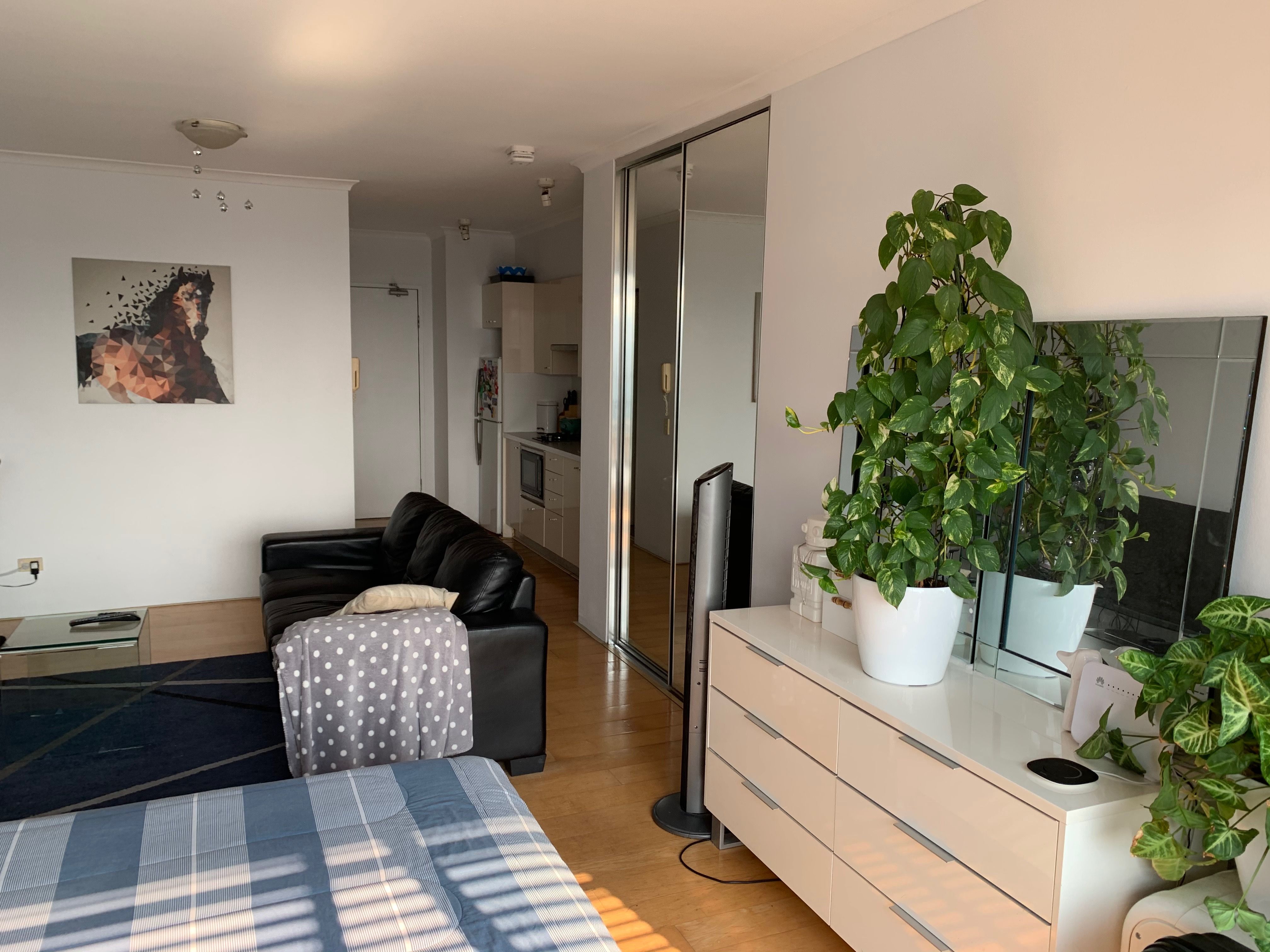 603/200 Campbell Street, Surry Hills, NSW 2010