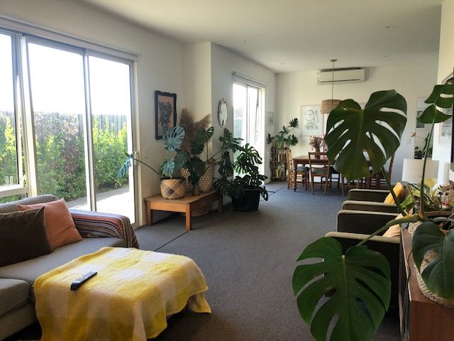 15 Radisich Place, Mt Maunganui, Tauranga City