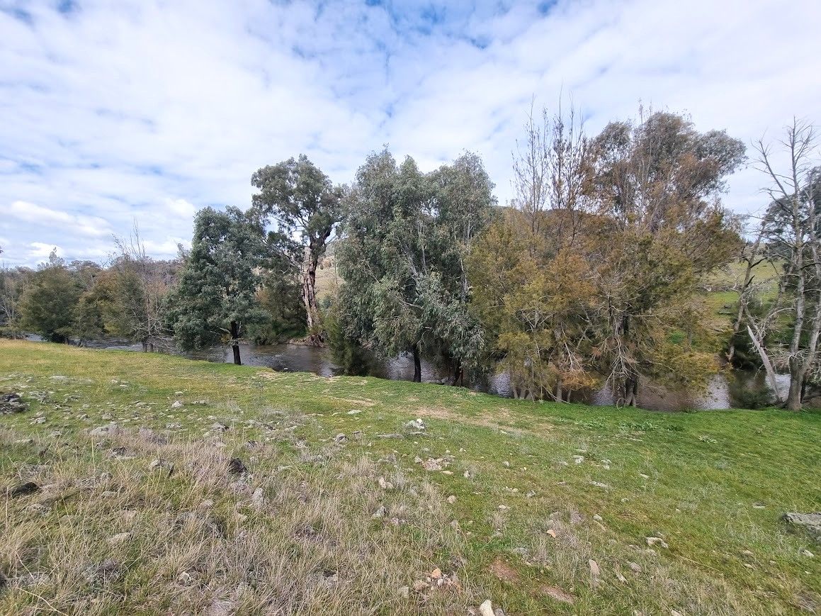 364 Kangaroo Mount Road — photo 10 of 16