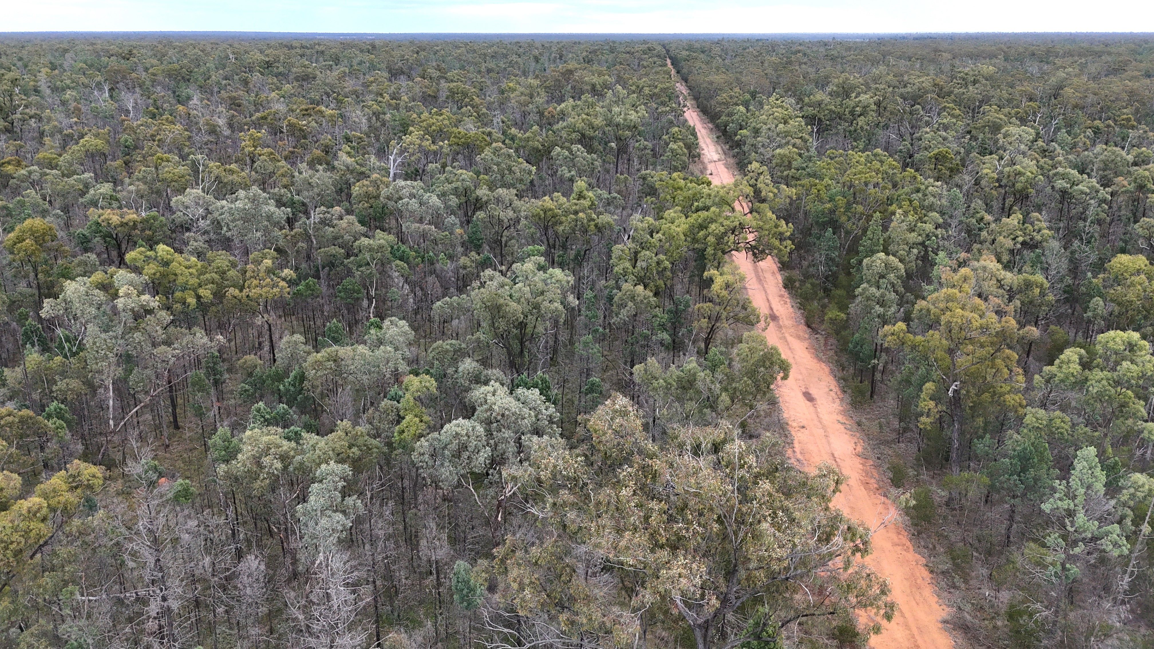 Lots 1 & N Yagaburne-Boondandilla Road, Boondandilla, QLD 4406