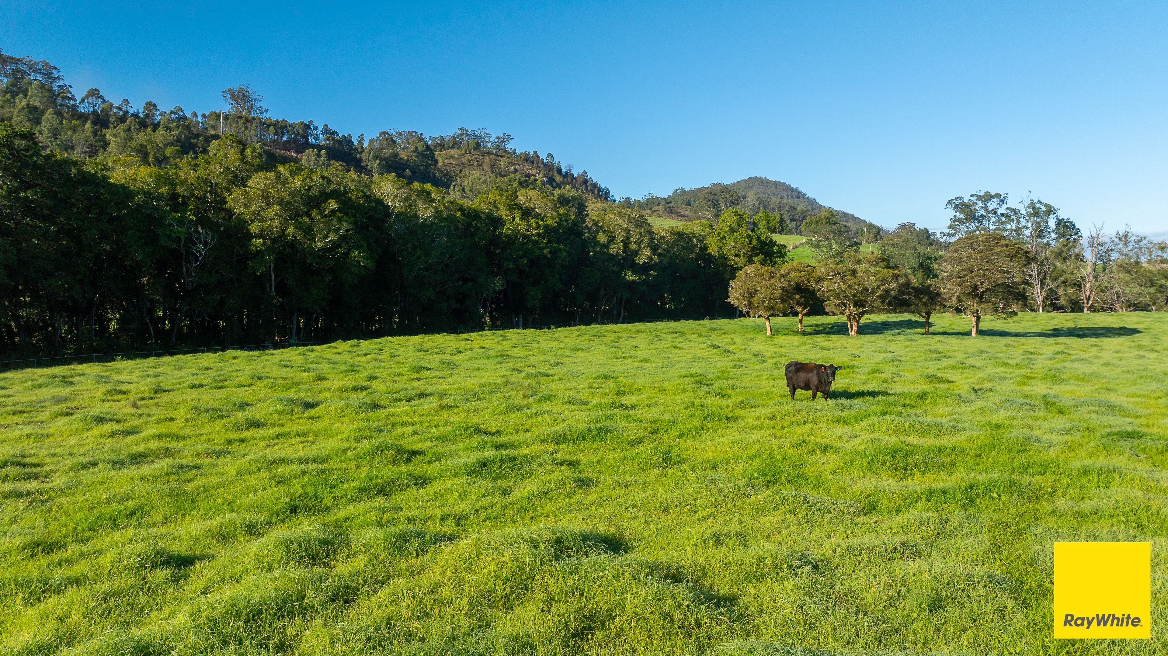 367 Terreel Road, Wards River, NSW 2422