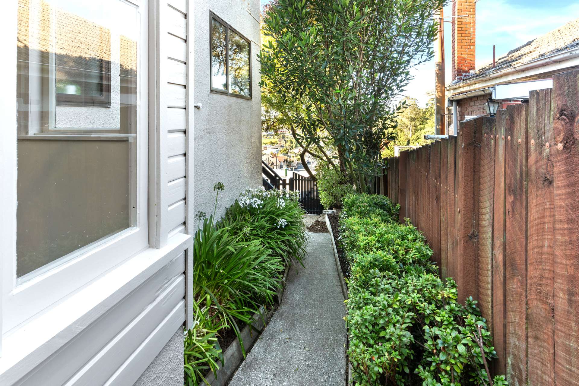 135 Stafford Street photo 27